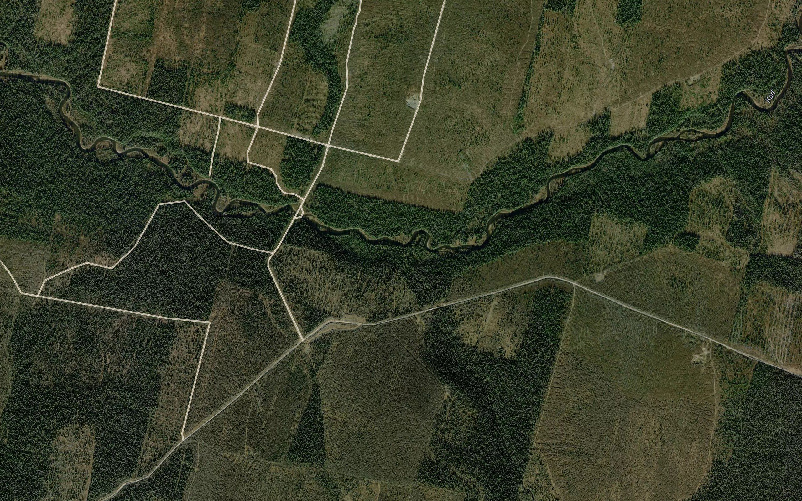 Zabolotnaya