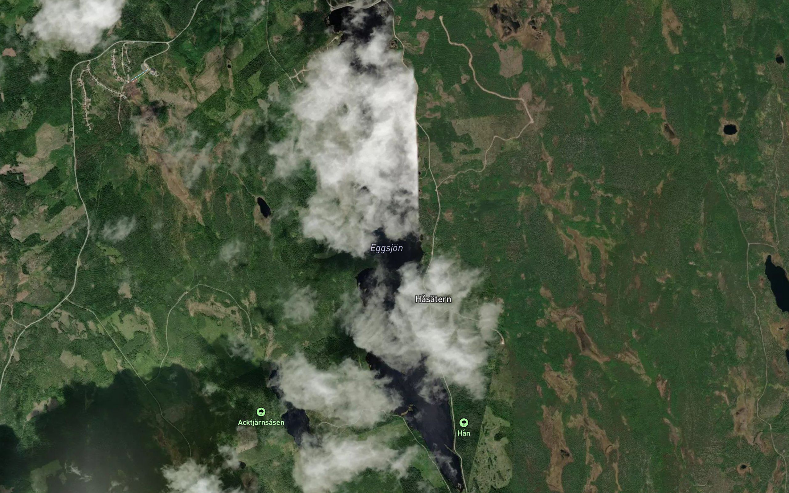 Stora Han