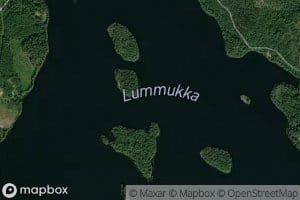 Lummukka