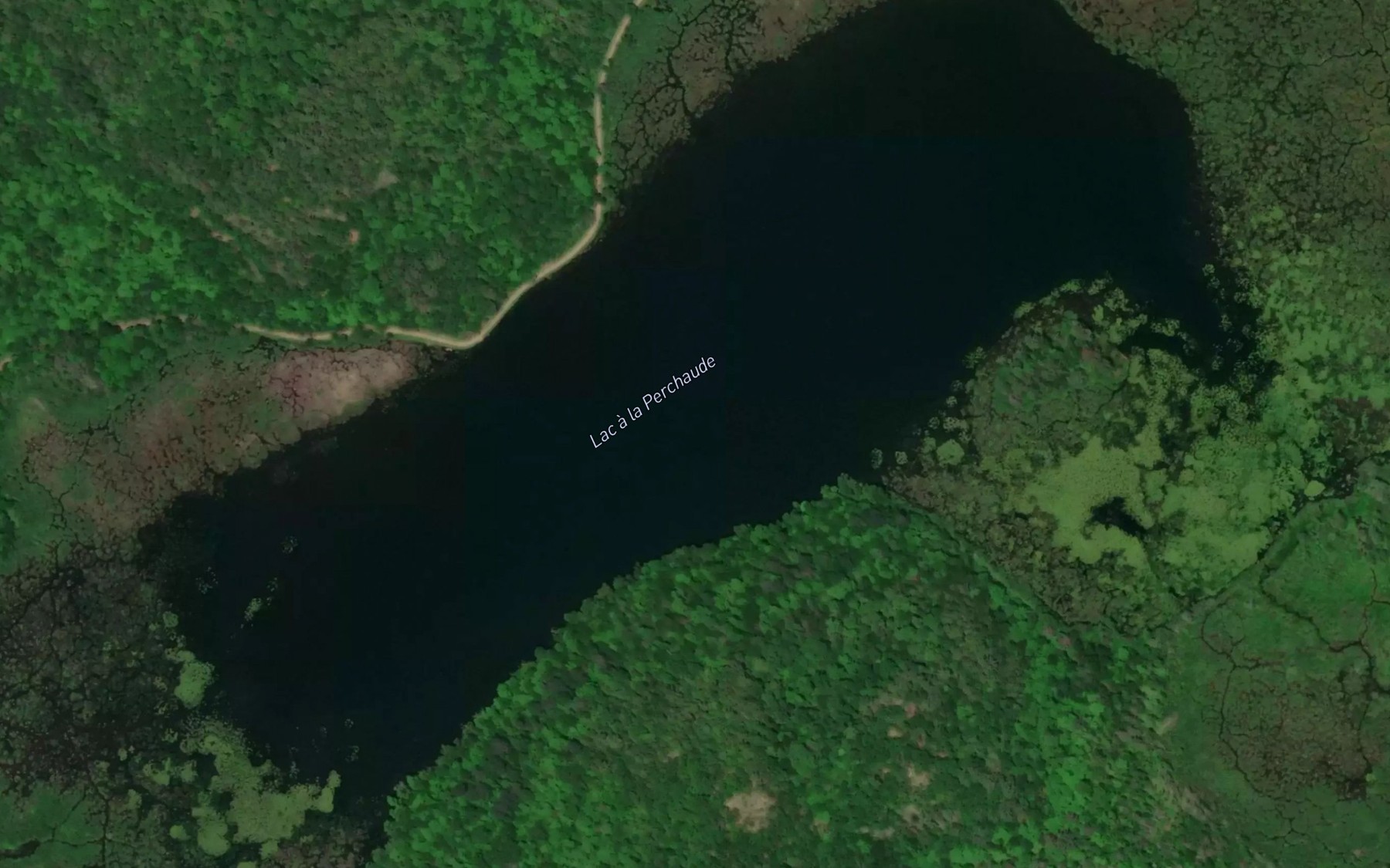 Satellite map of the Lac a la Perchaude