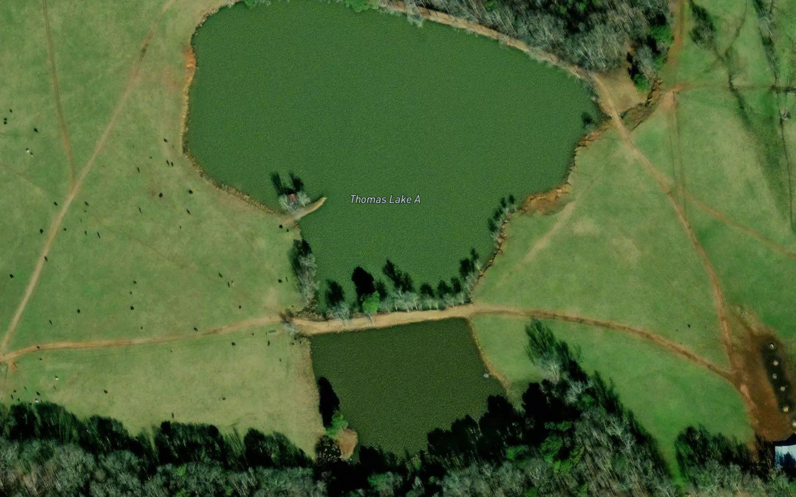 Thomas Lake A
