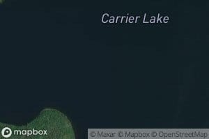 Carrier Lake