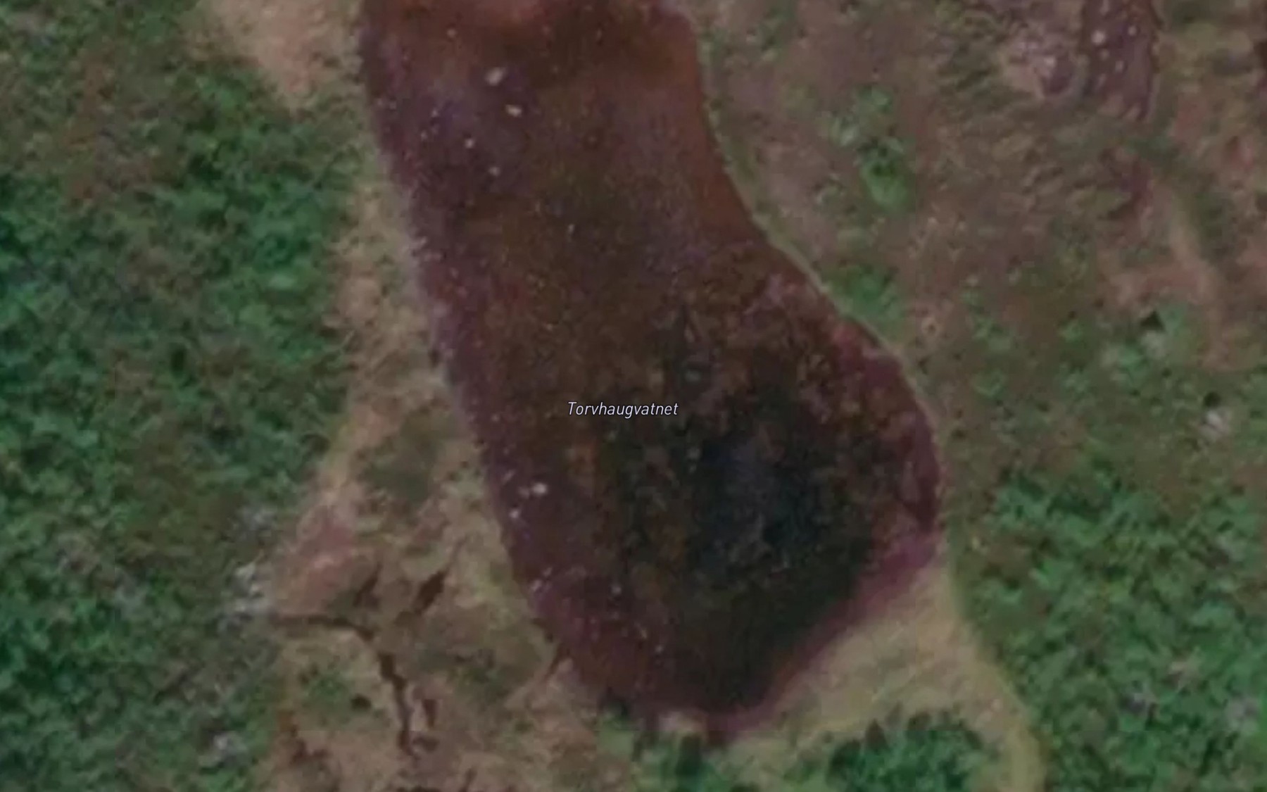 Satellite map of the Torvhaugvatnet