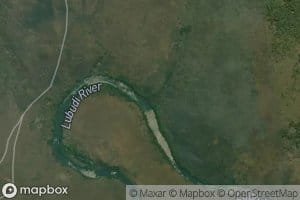 Kamukonzo