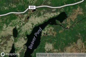 Beaver Pond