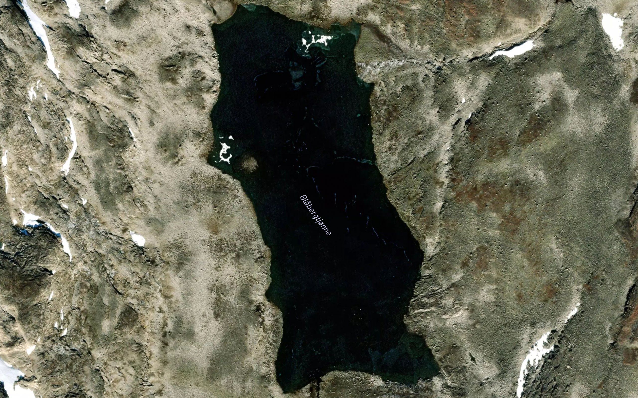 Foystjorni