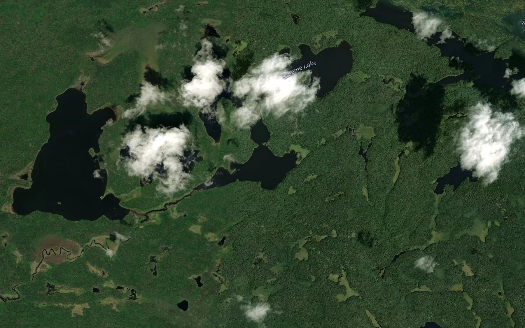 Satellite map of the West Cub Lake