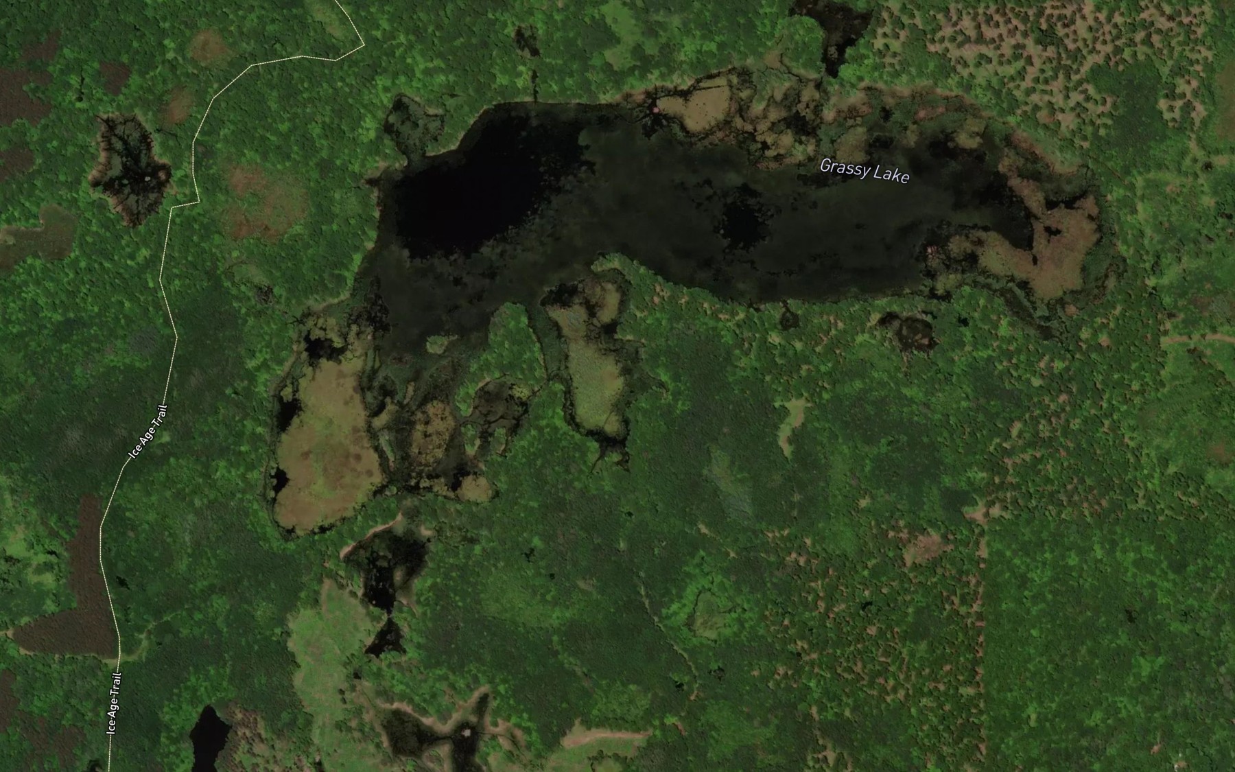 Satellite map of the Grassy Lake