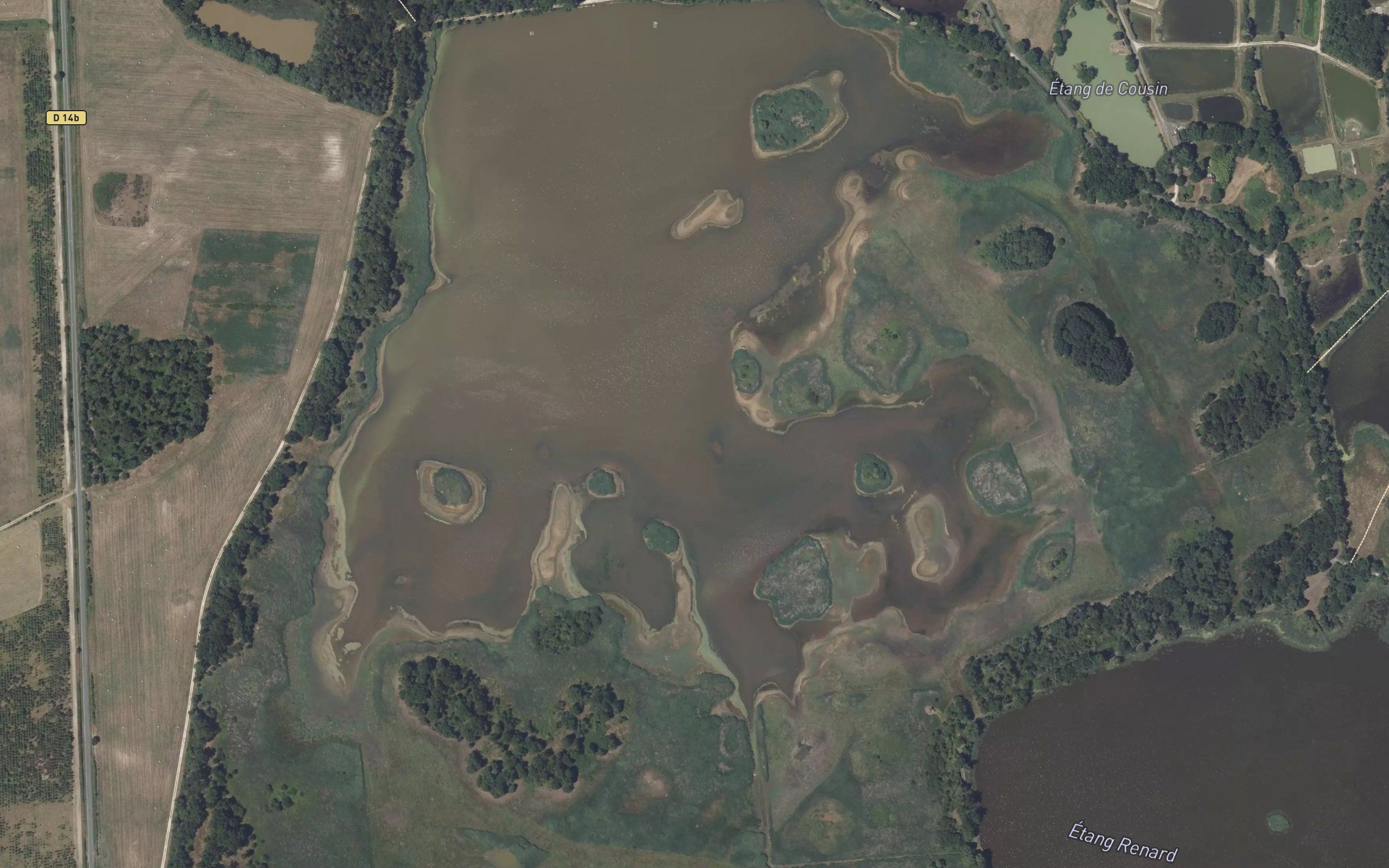 Etang de Piegu