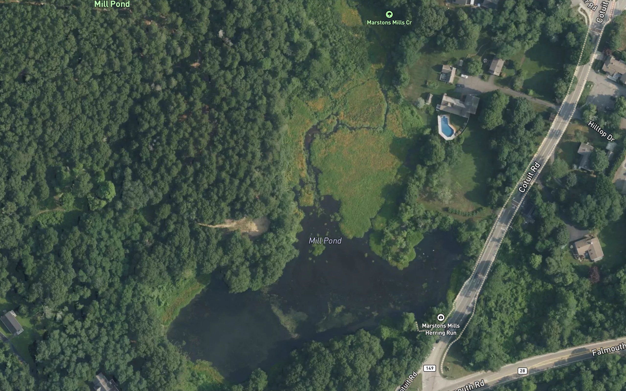 Mill Pond