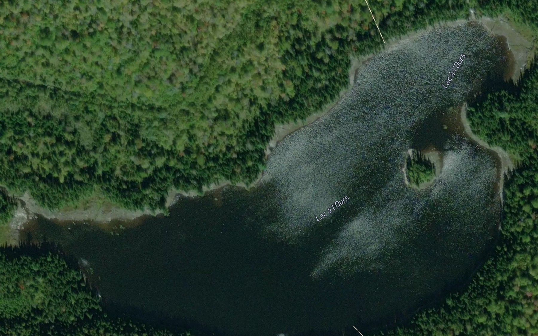 Satellite map of the Lac a l'Ours