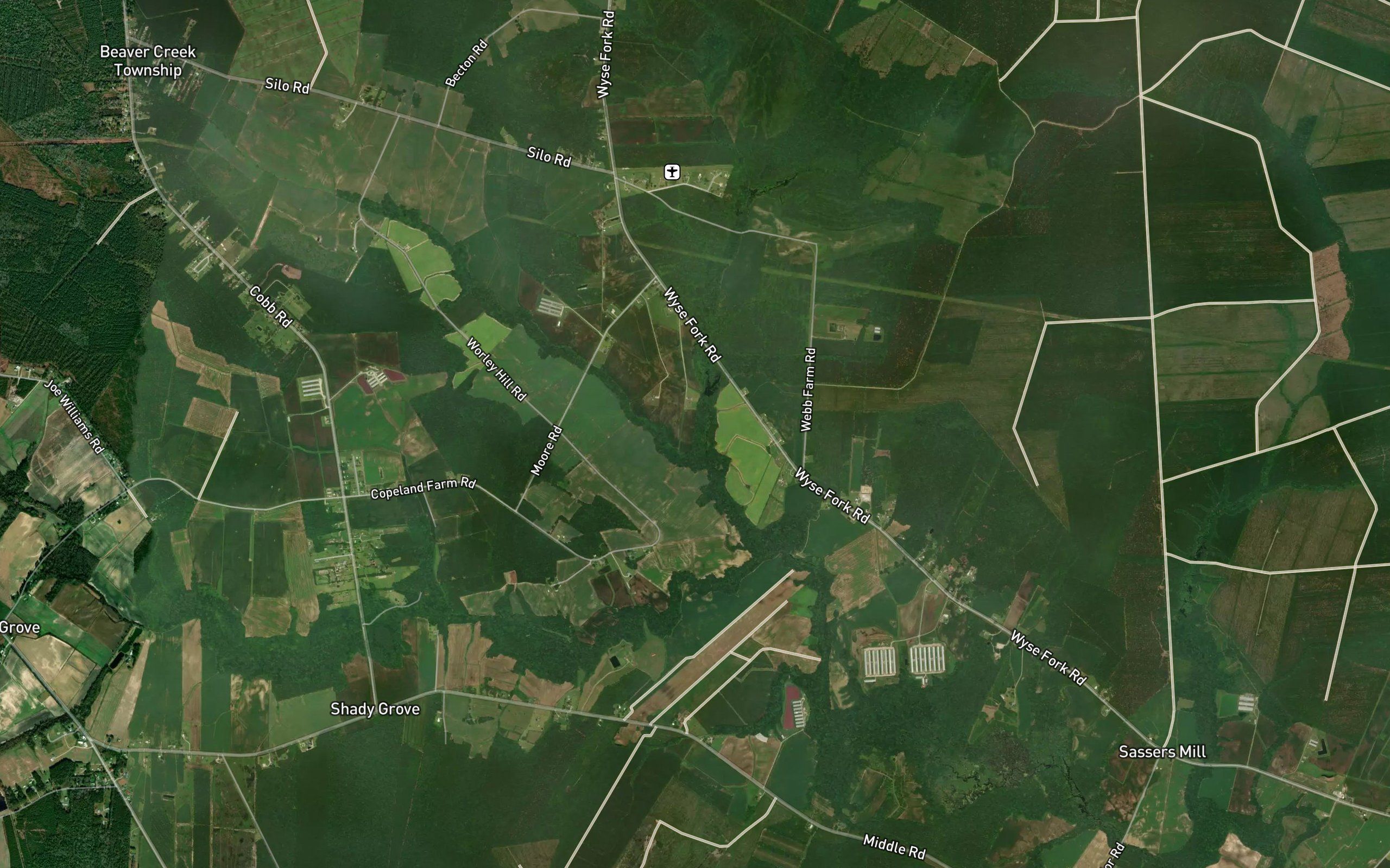 Flat Swamp