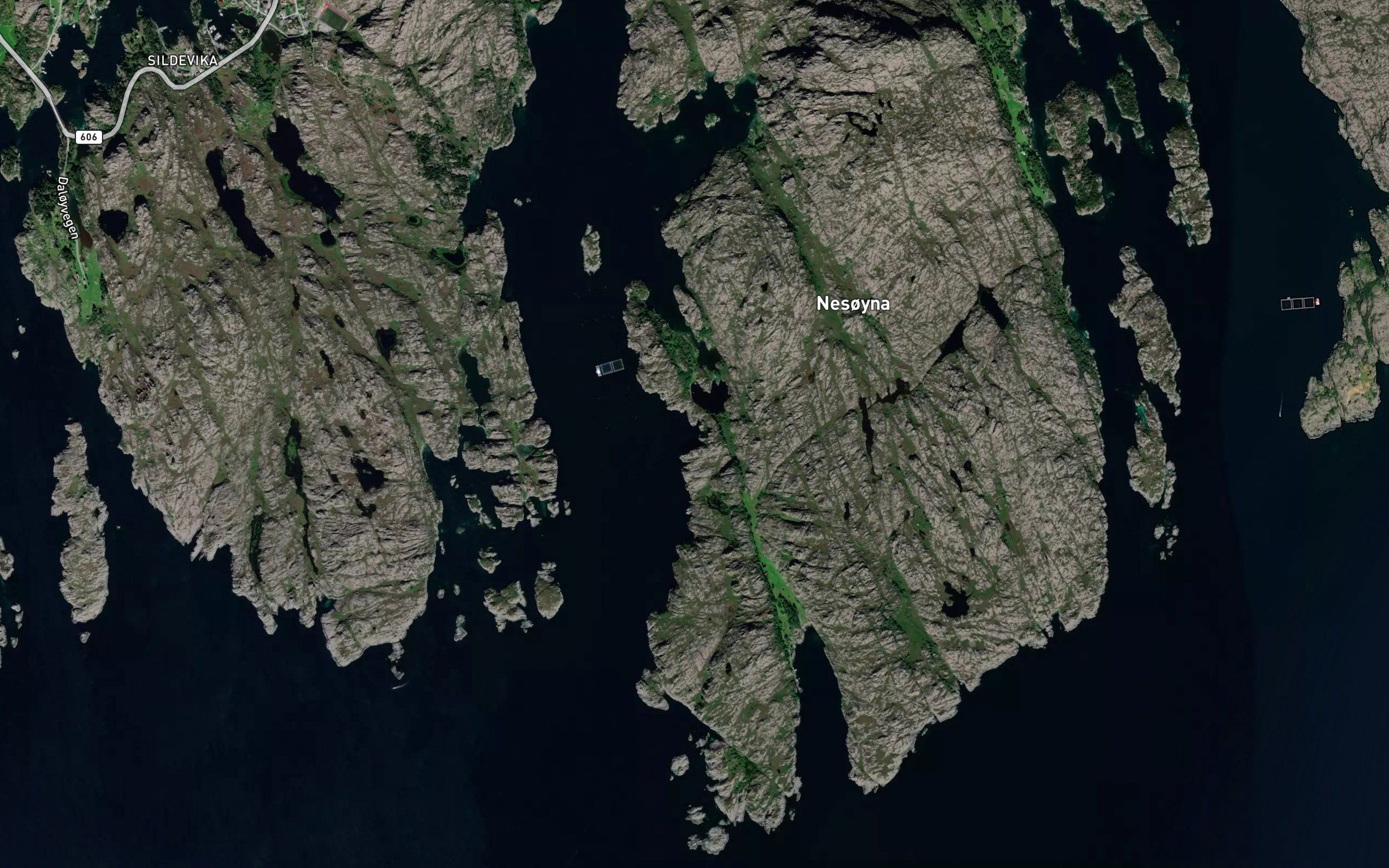 Fiskehola