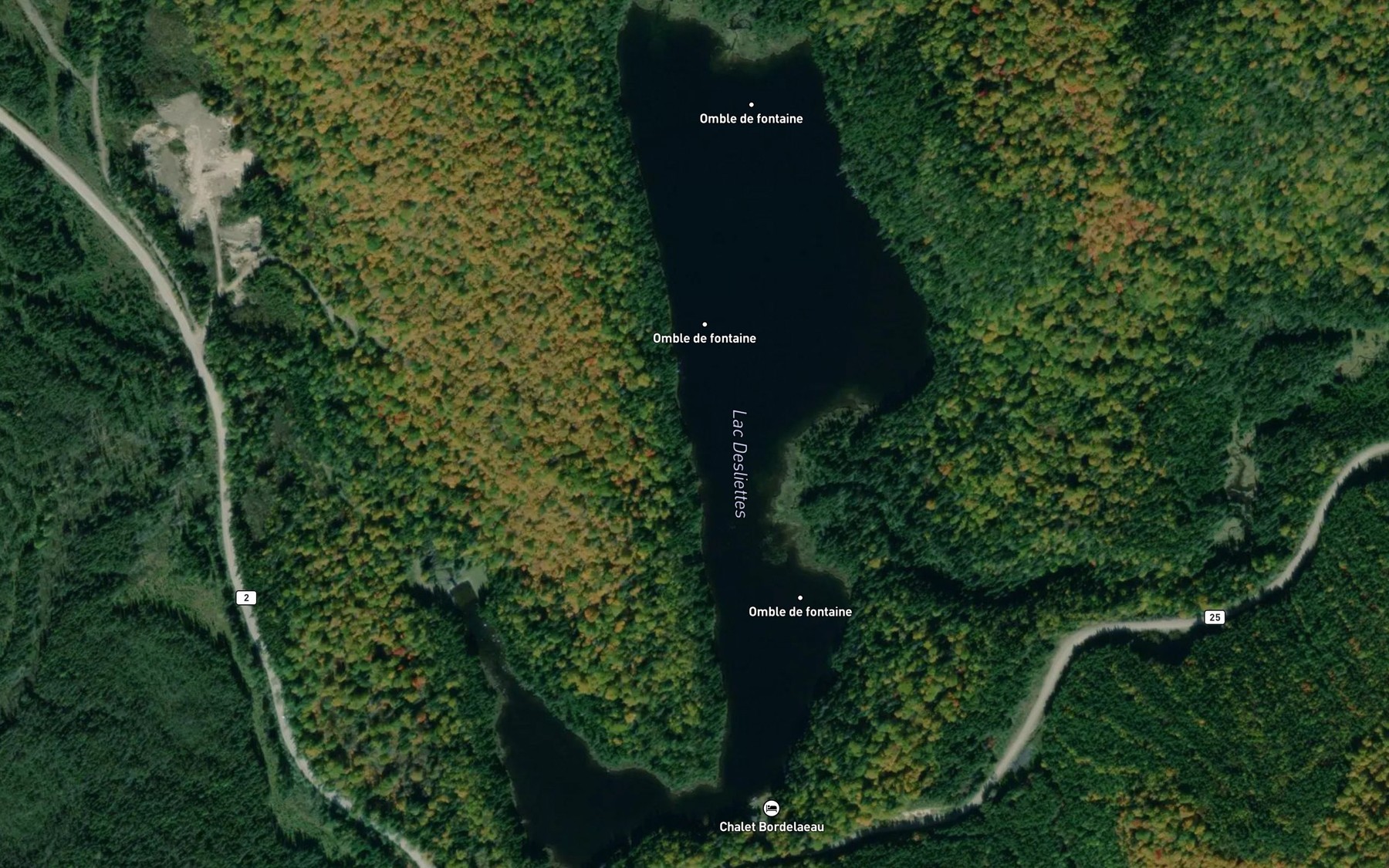 Satellite map of the Lac Desliettes