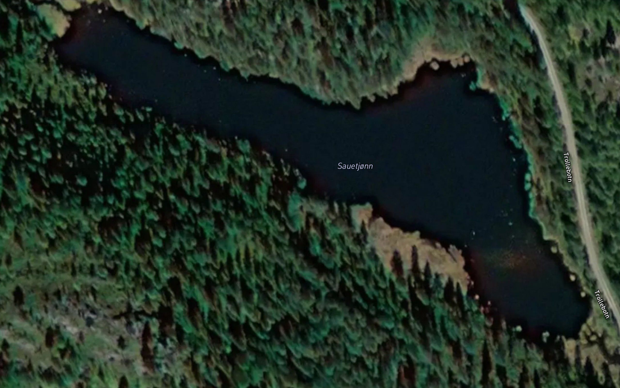 Sauetjorn