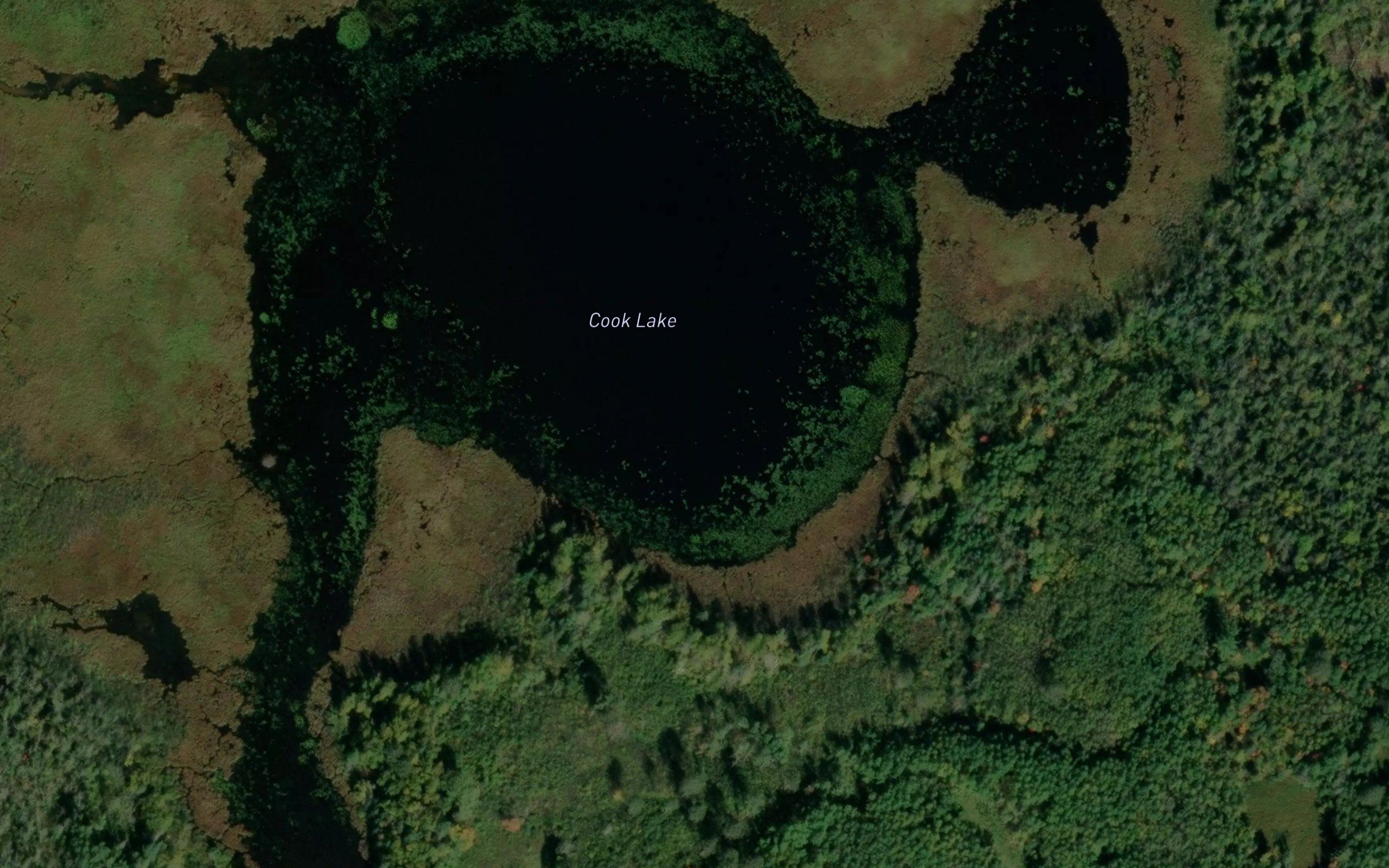 Cook Lake