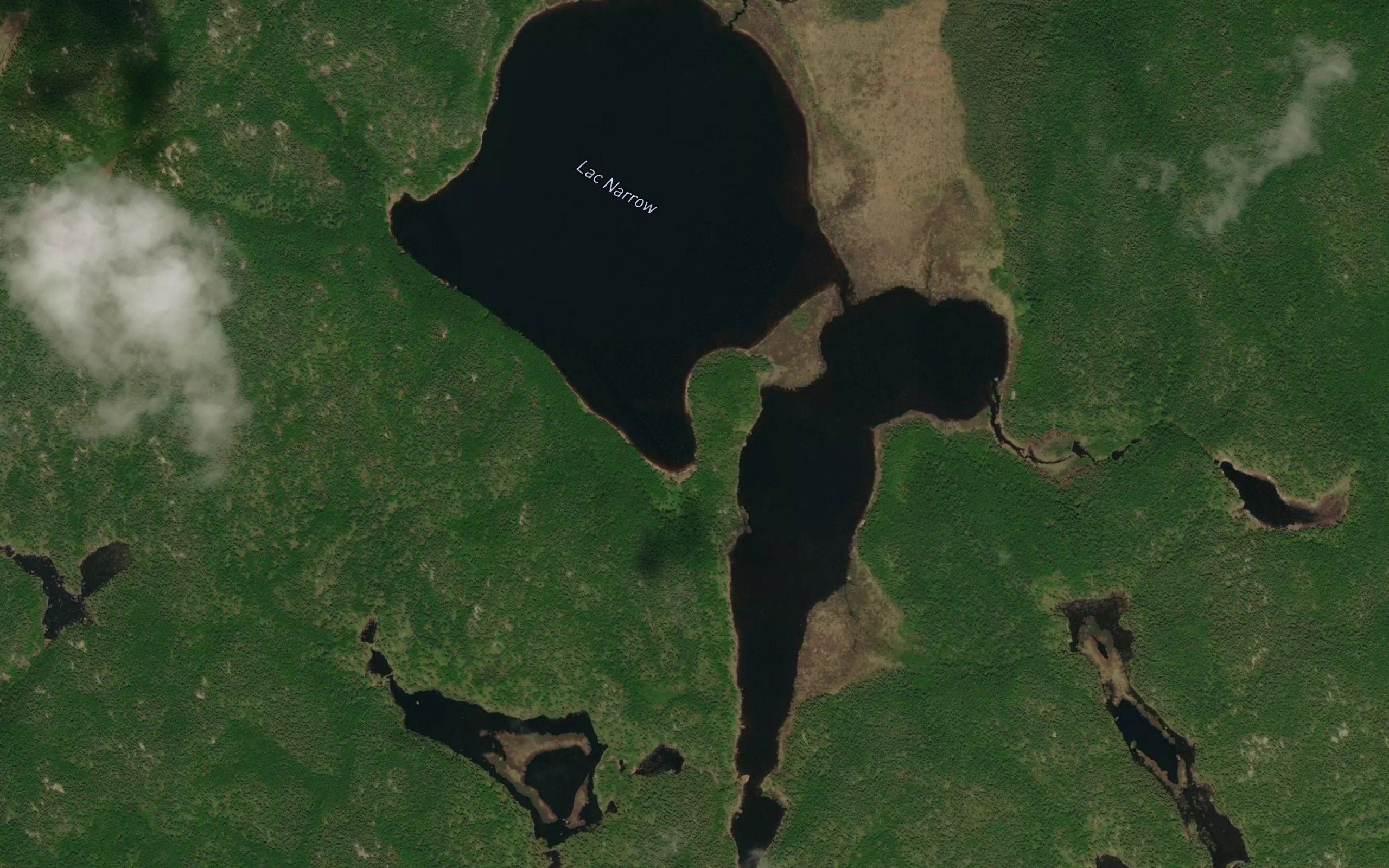 Lac Narrow