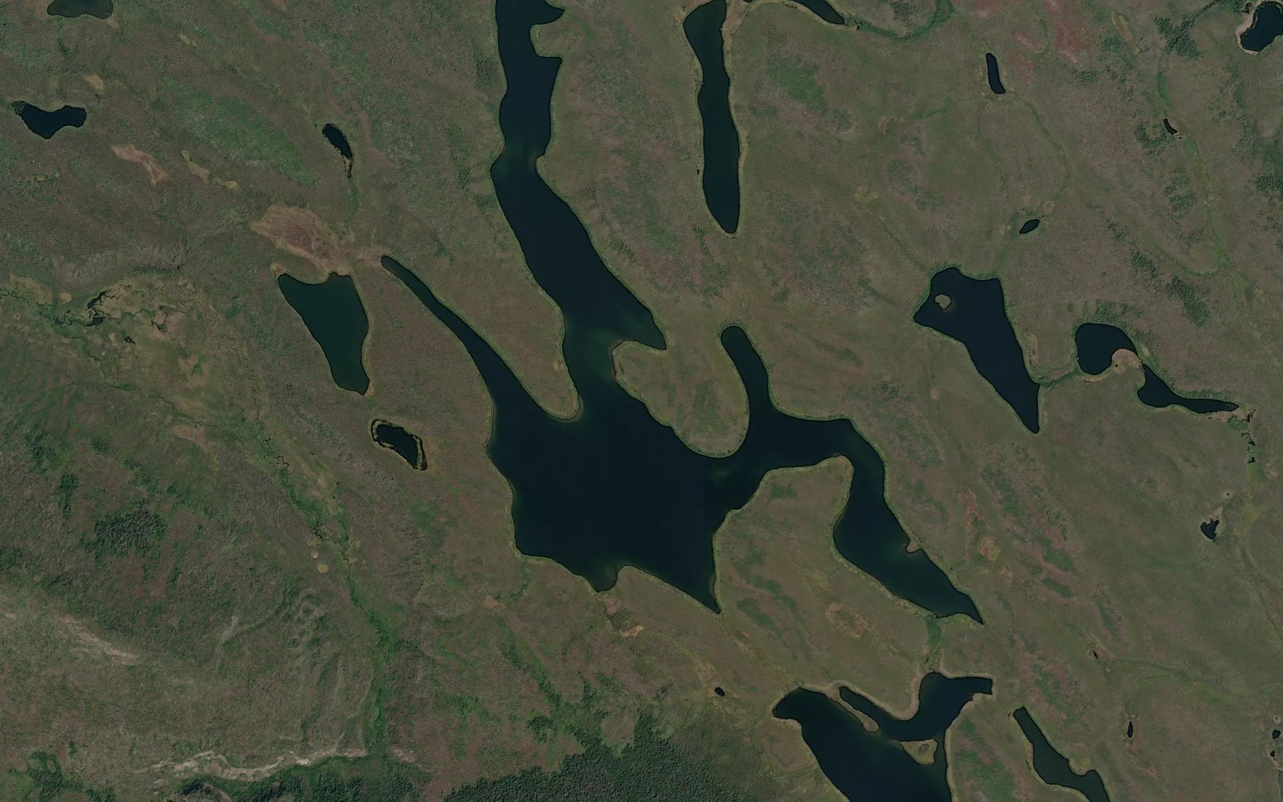 Satellite map of the Louise Lake