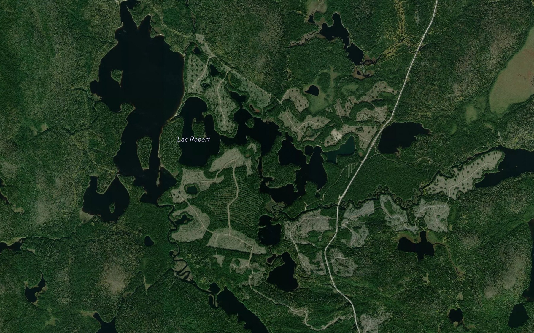Satellite map of the Baie Roy