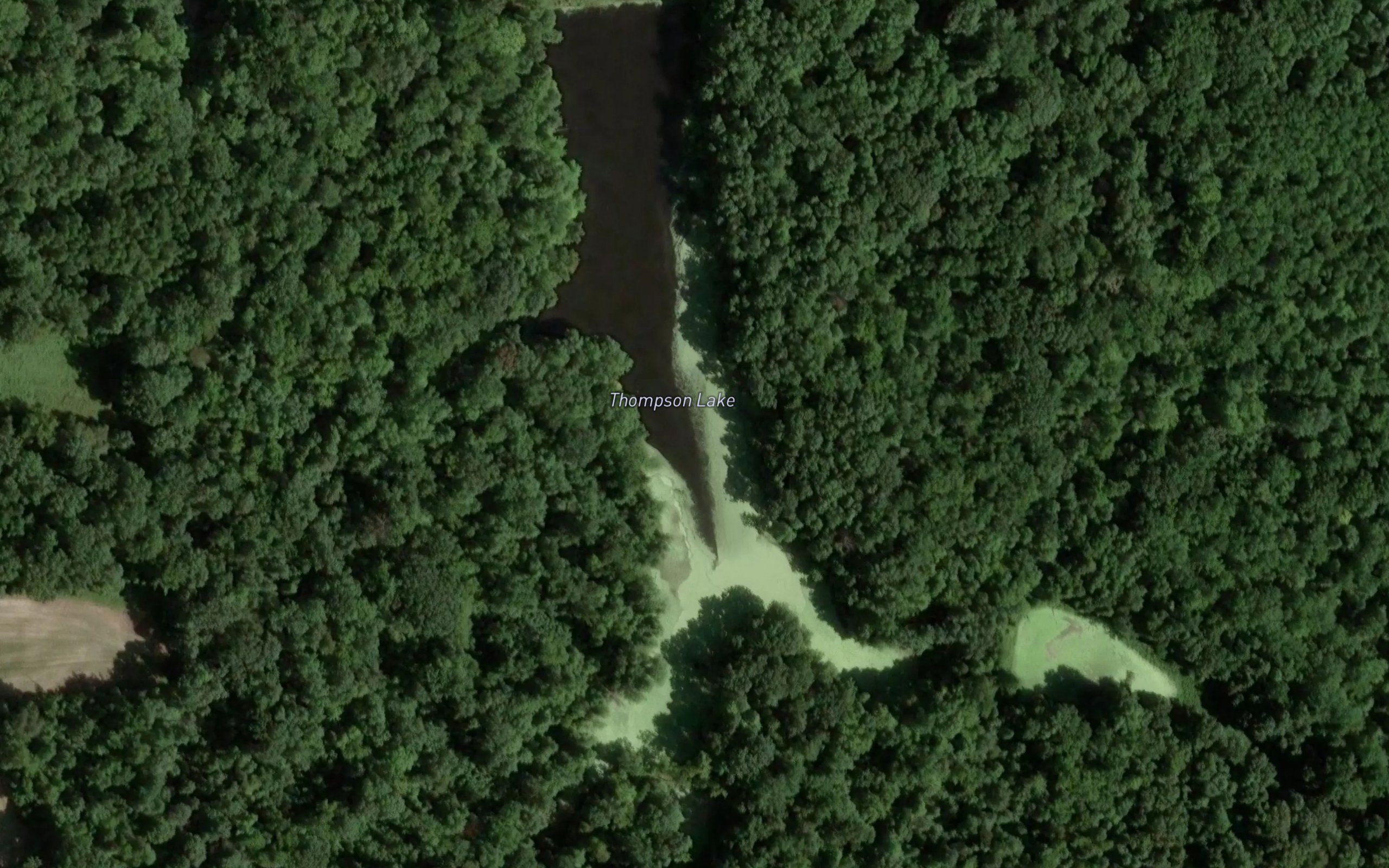 Thompson Lake