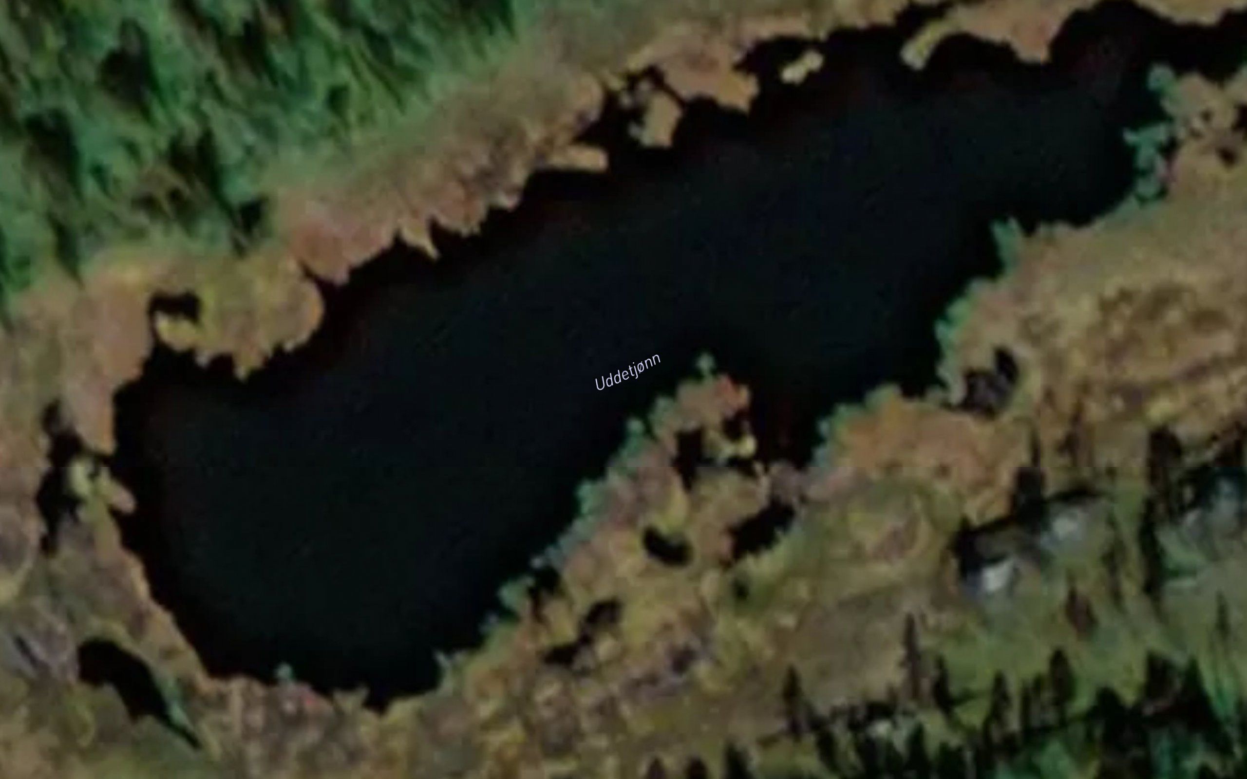 Uddetjorn