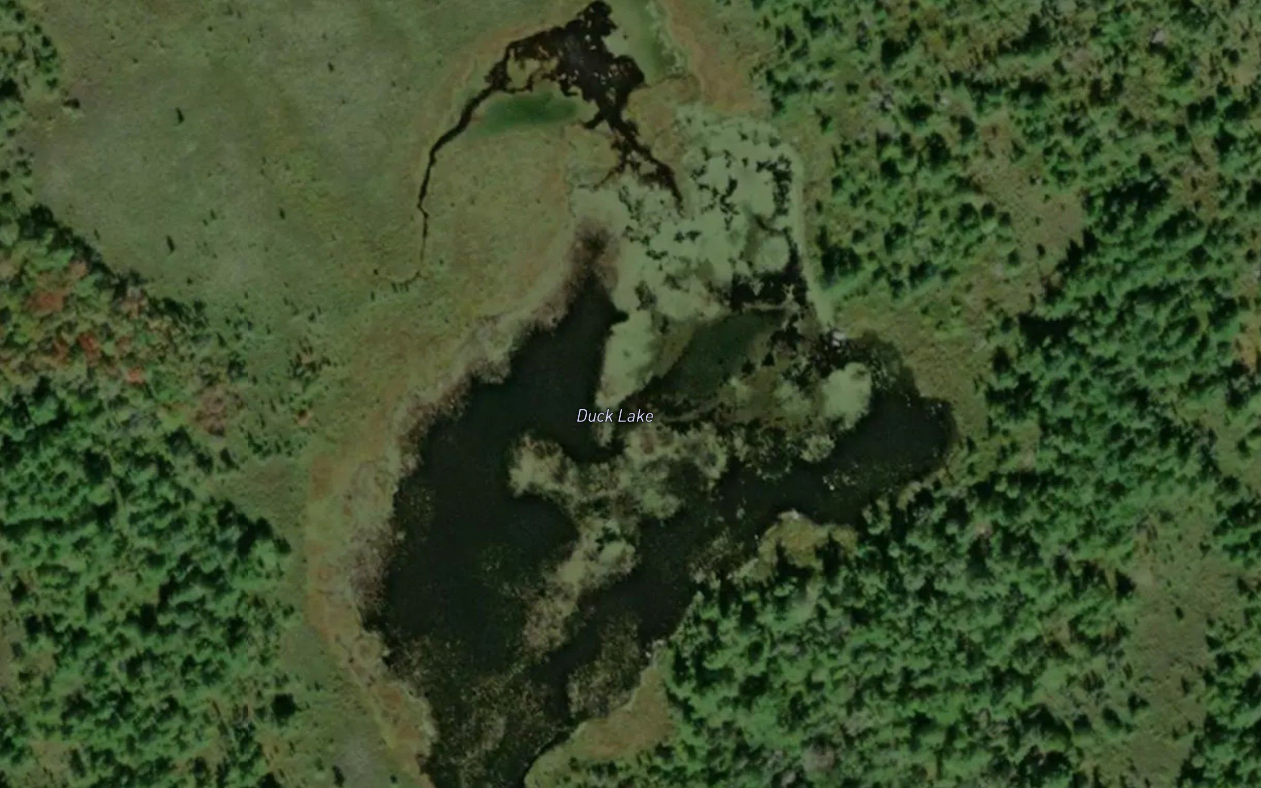 Duck Lake