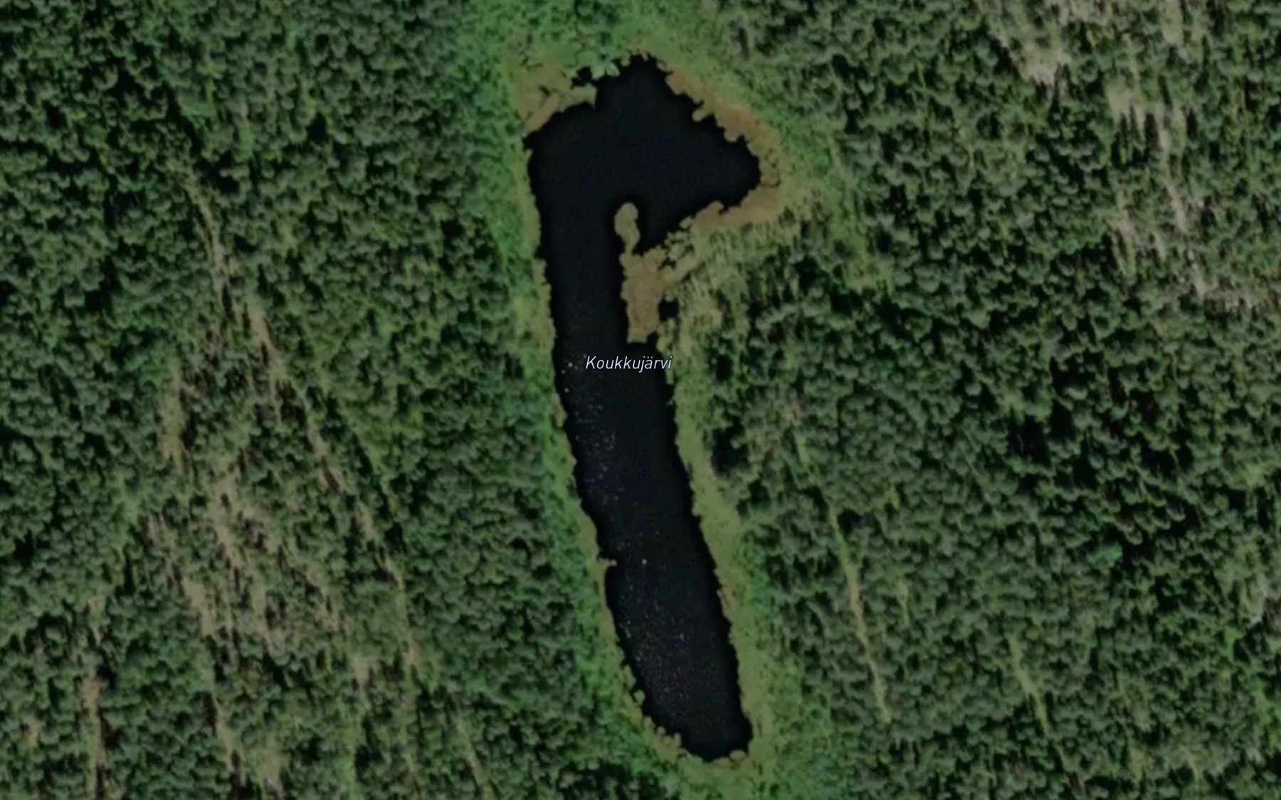 Satellite map of the Koukkujarvi