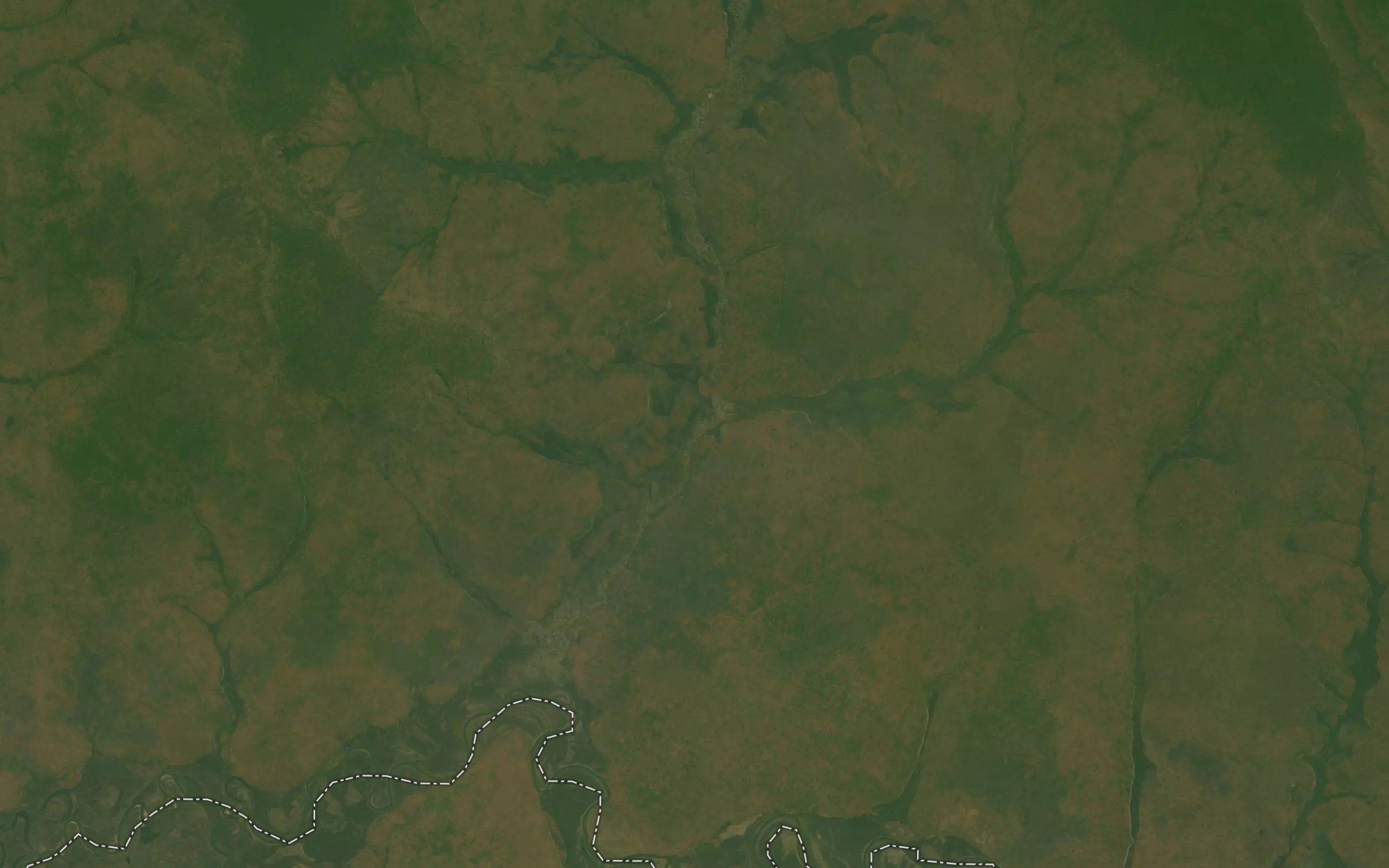 Mbungo
