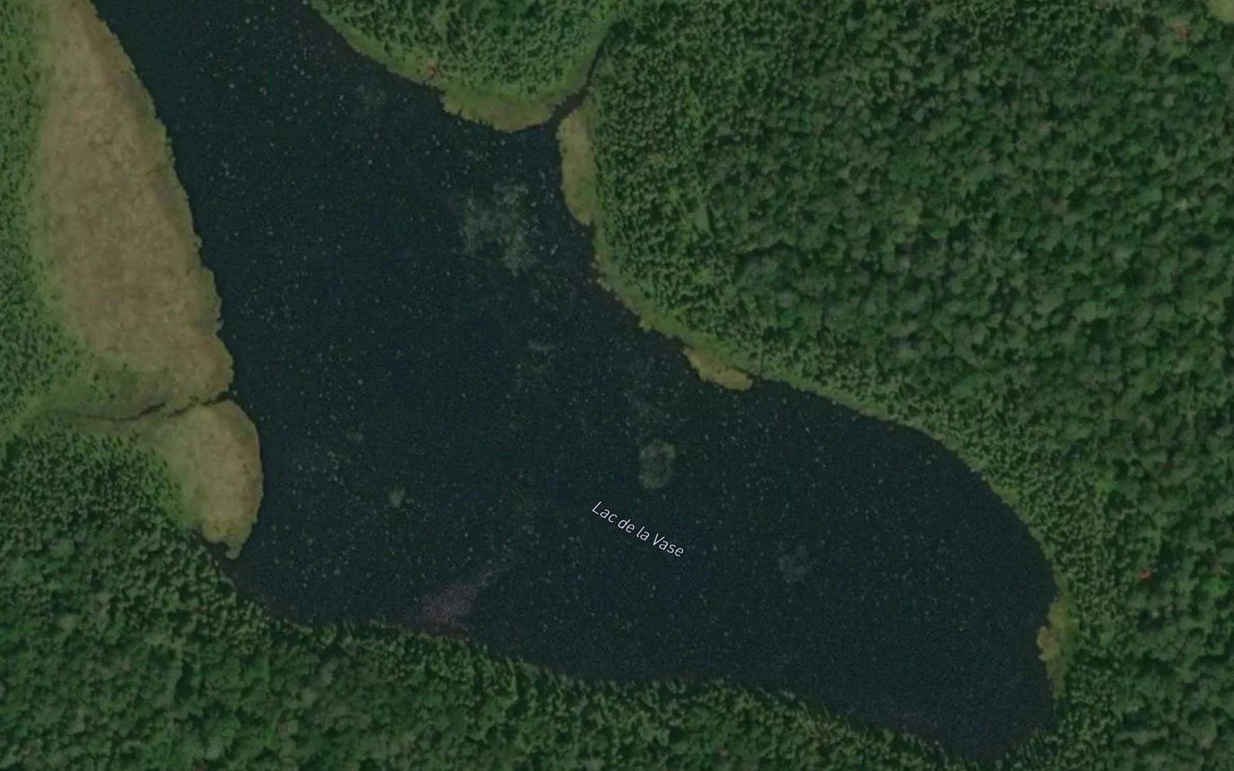 Satellite map of the Lac de la Vase