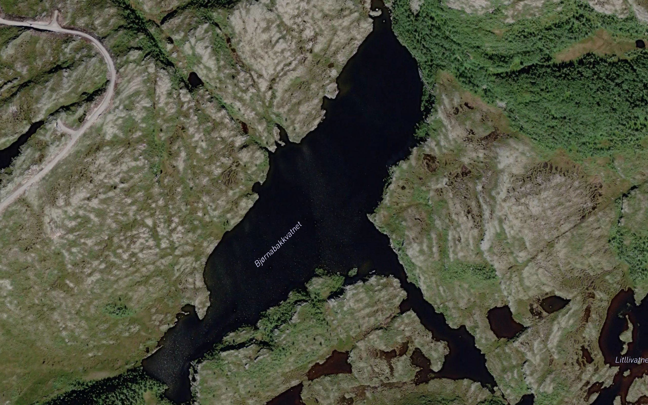 Bjornabakkvatnet