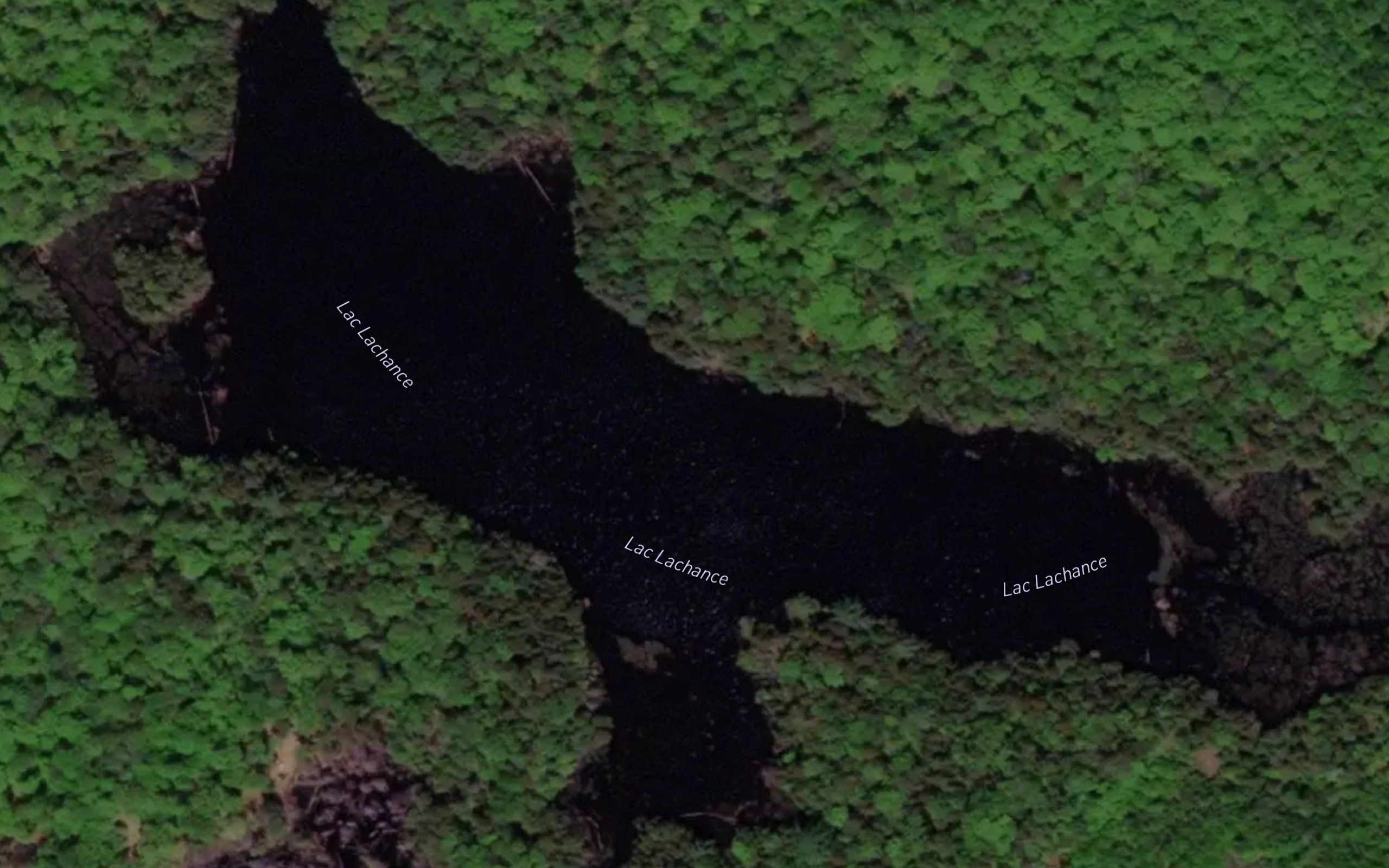 Lac Lachance