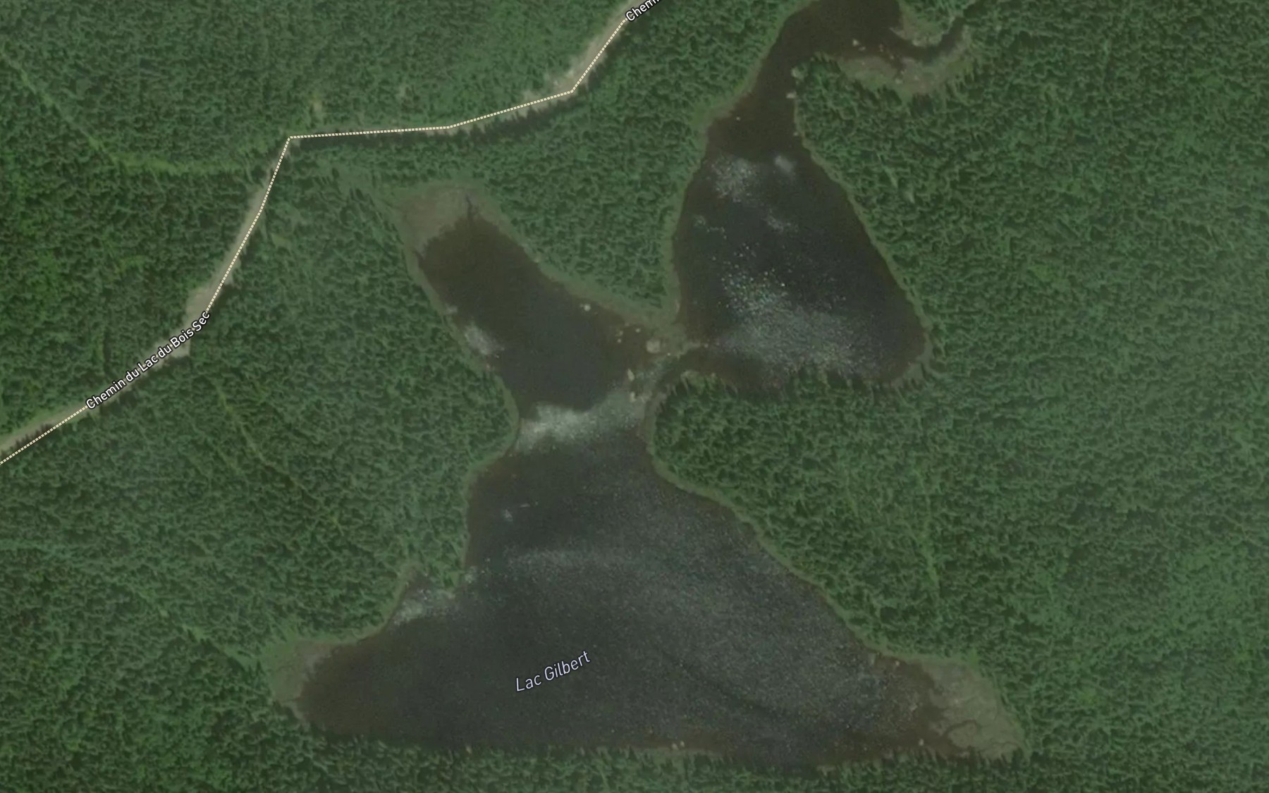 Satellite map of the Lac Gilbert