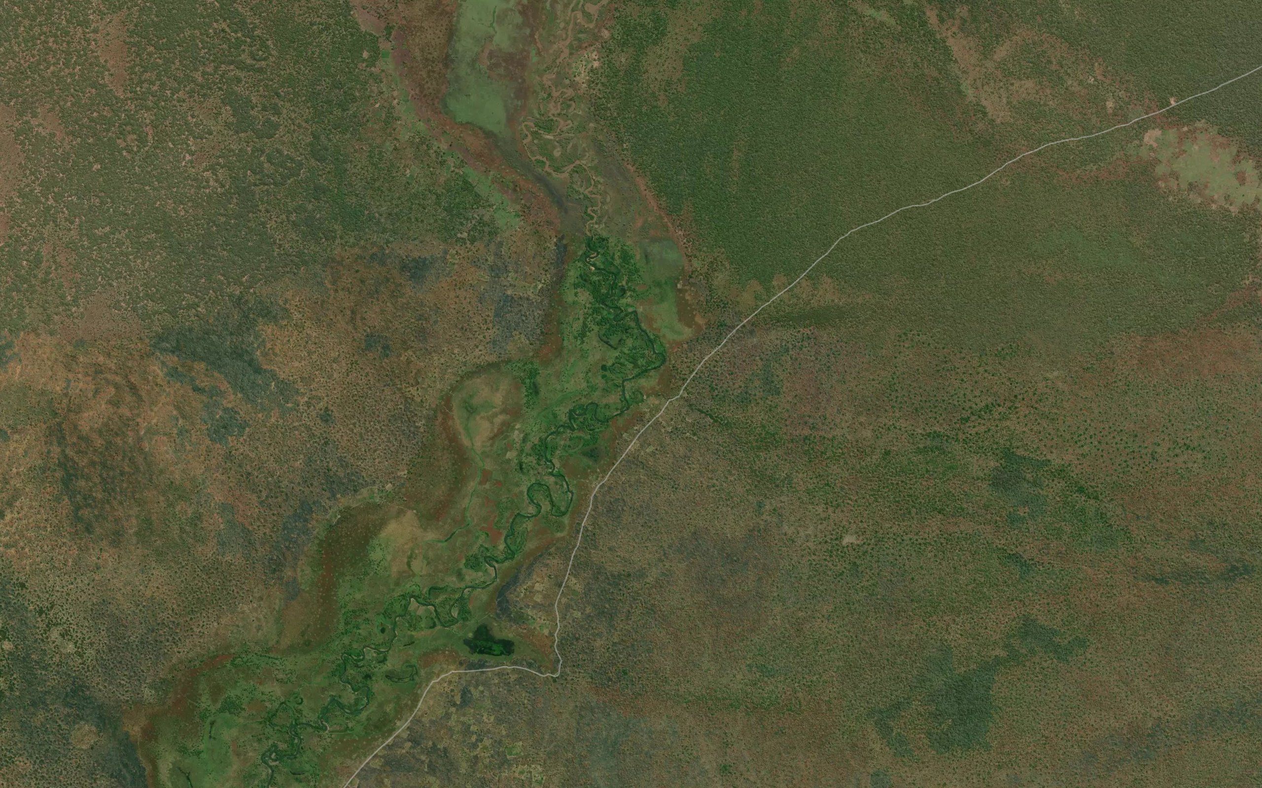 Kamwangombe