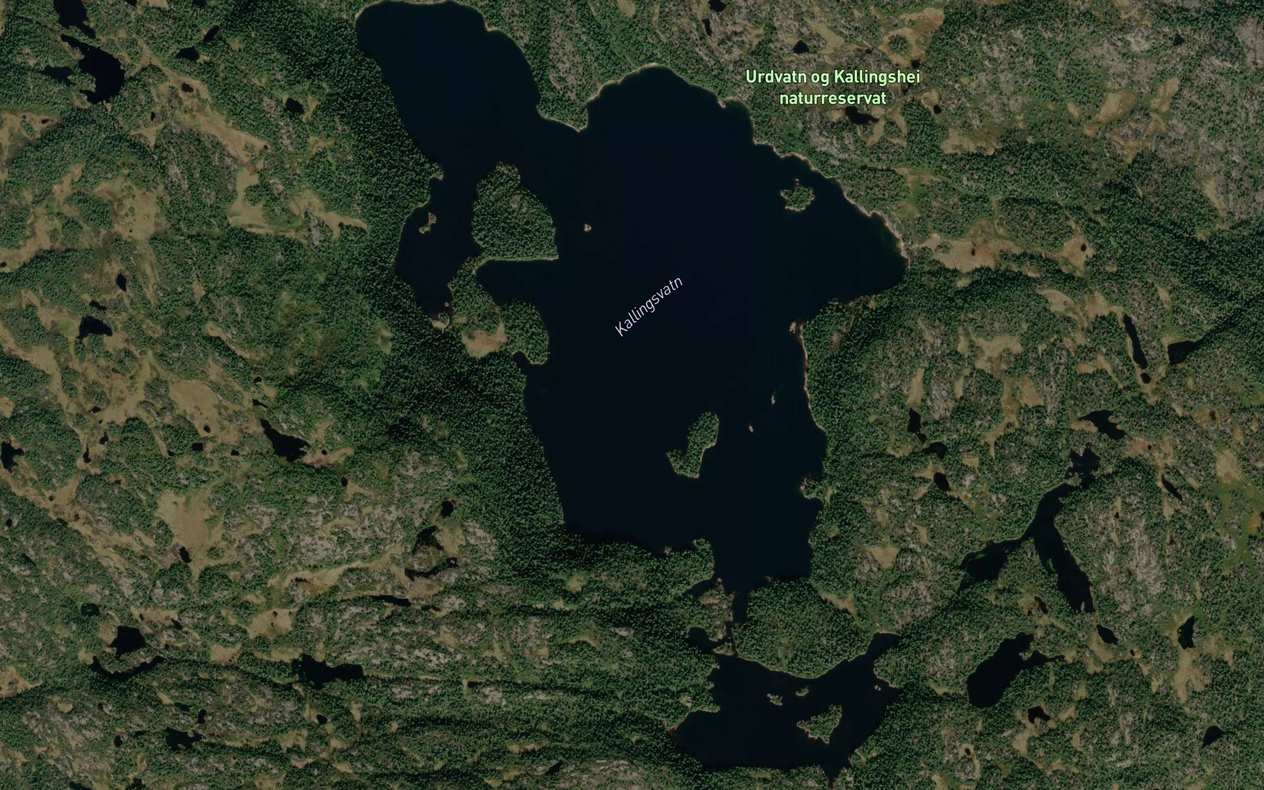 Kallingsvatn