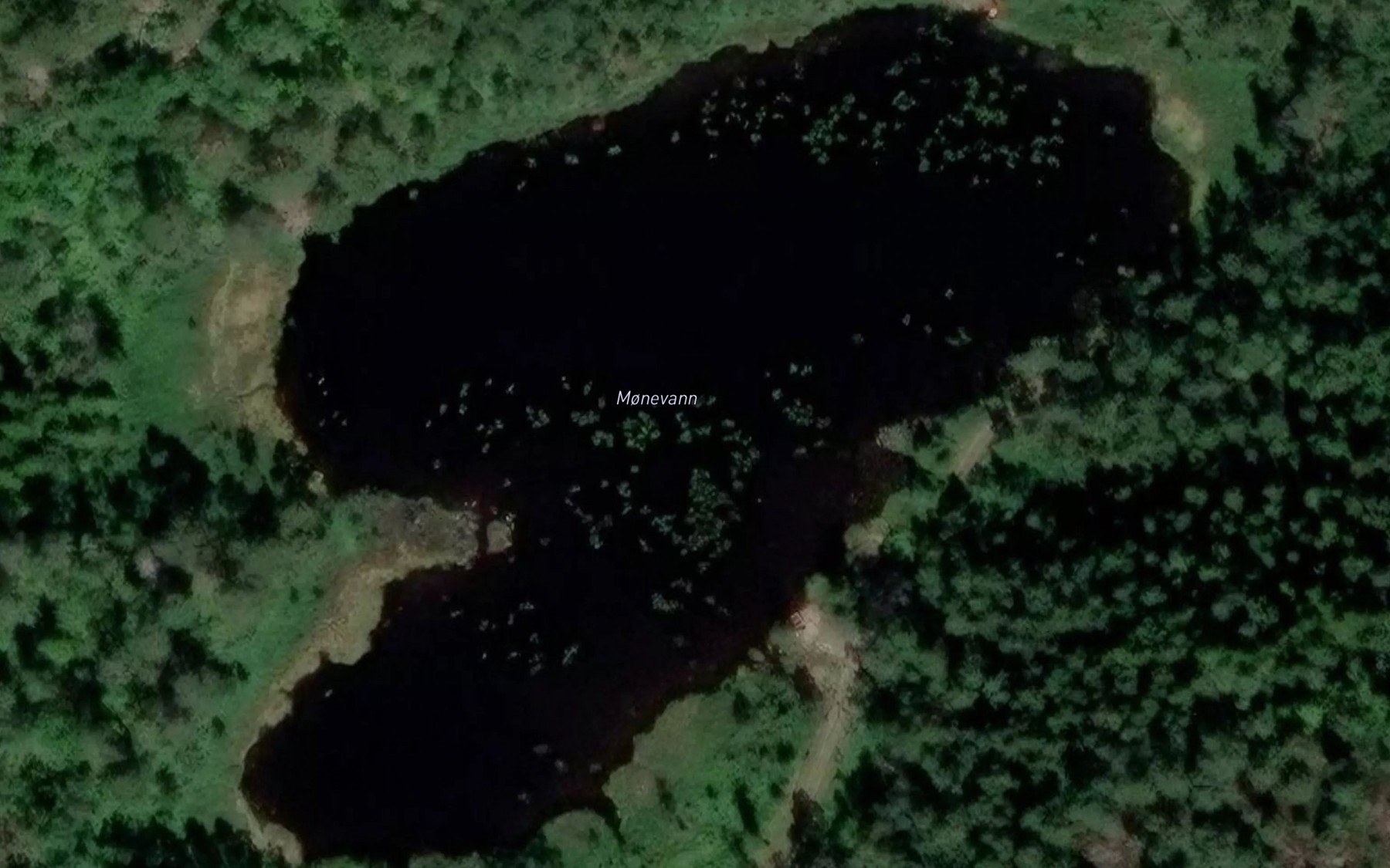 Satellite map of the Monevann