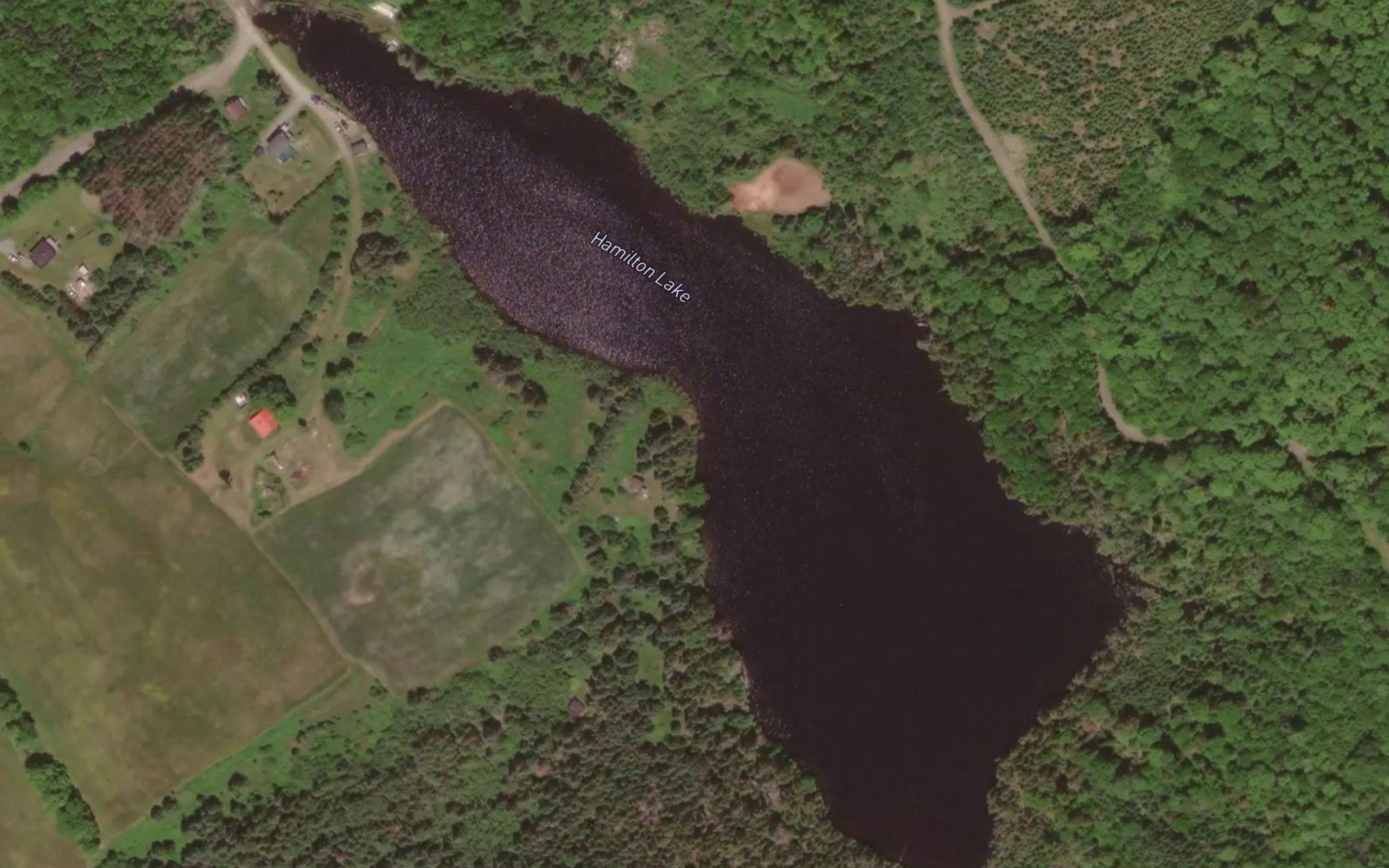Hamilton Lake