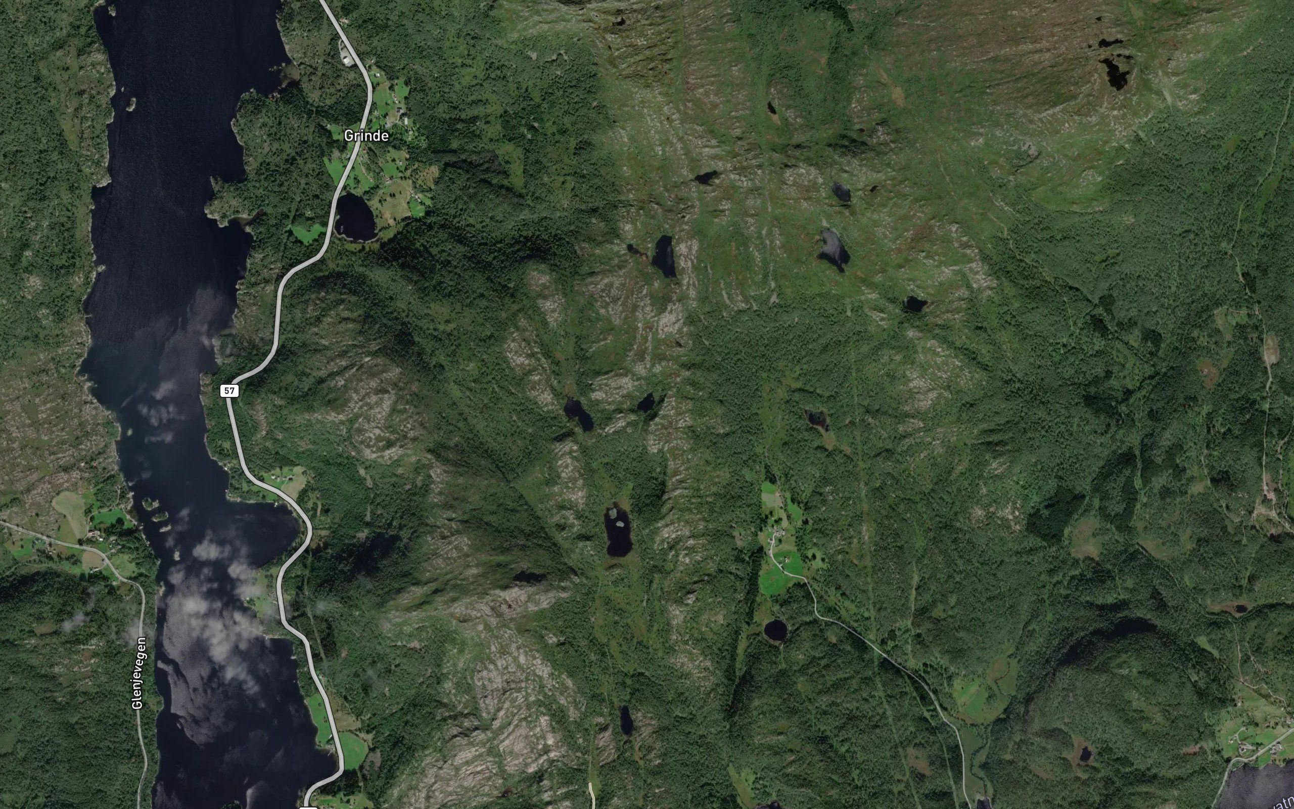 Gronskardtjorni