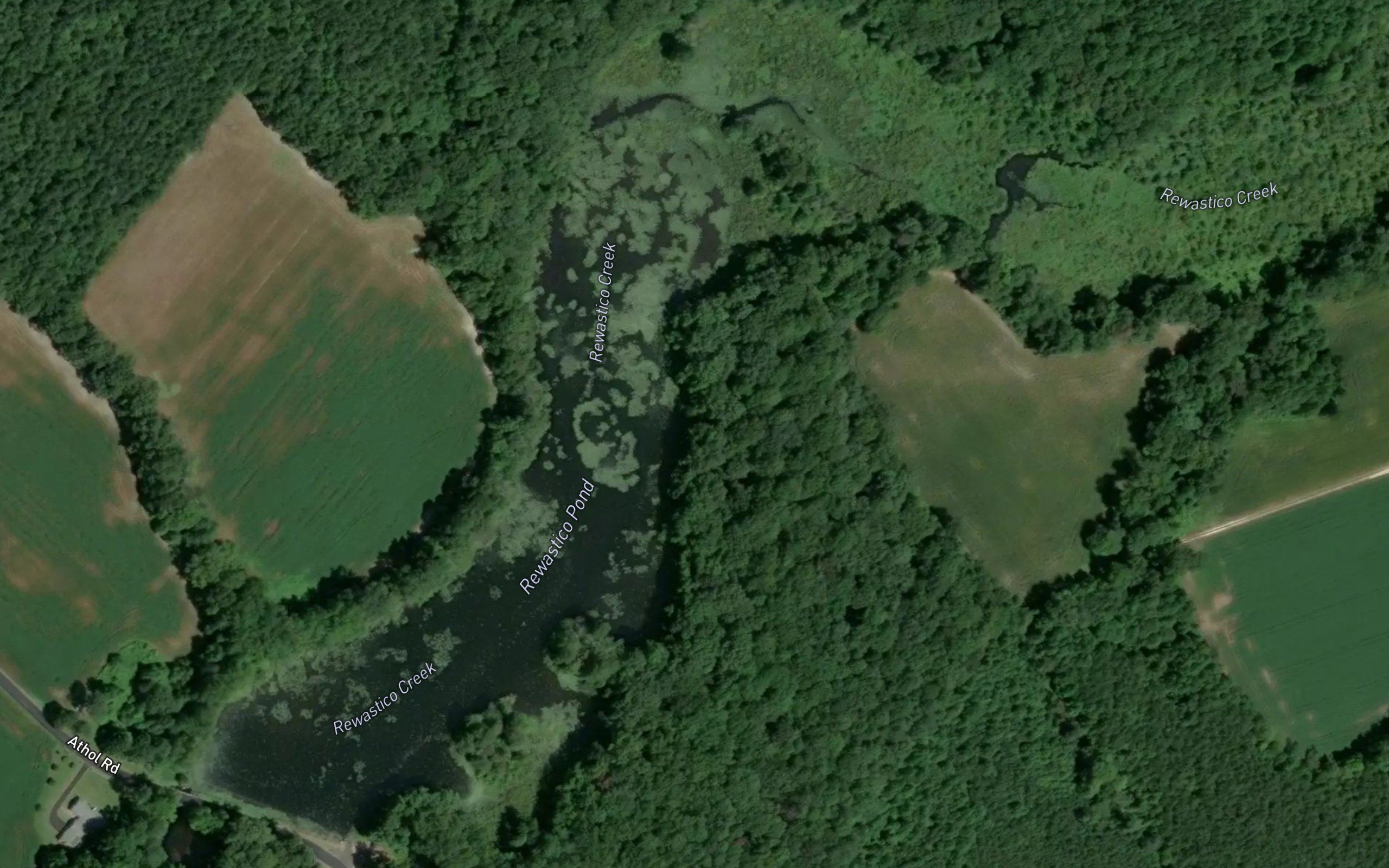 Rewastico Pond