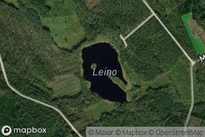 Leino