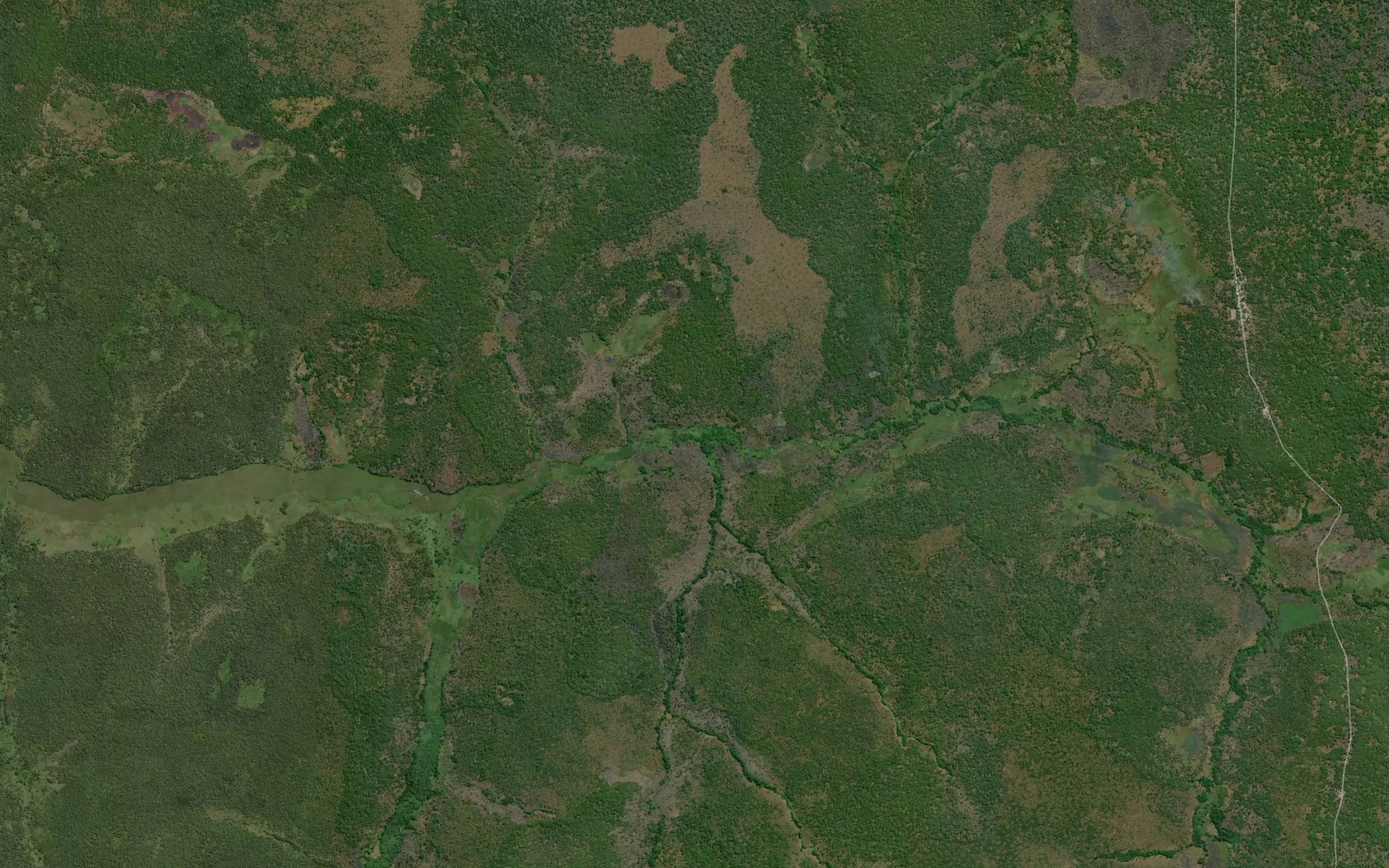 Kamukala