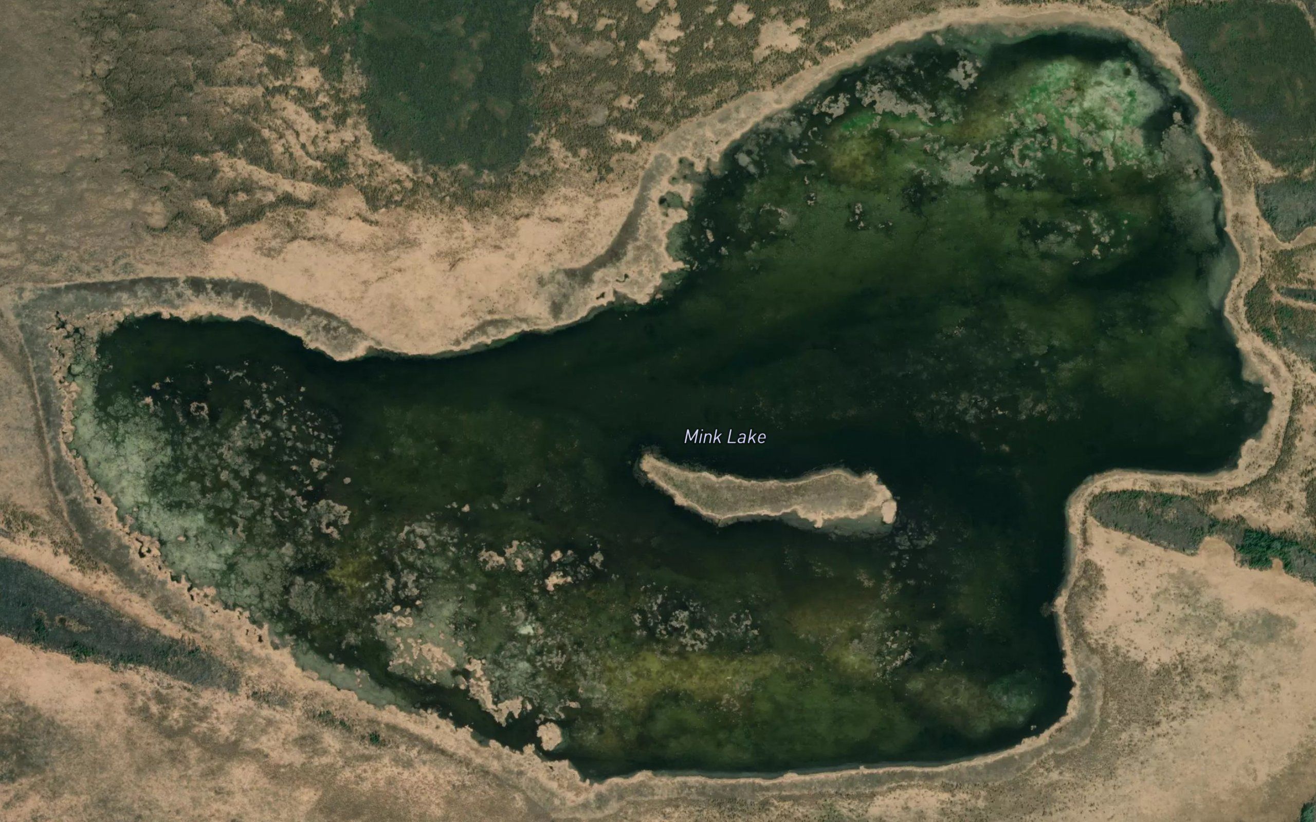 Mink Lake