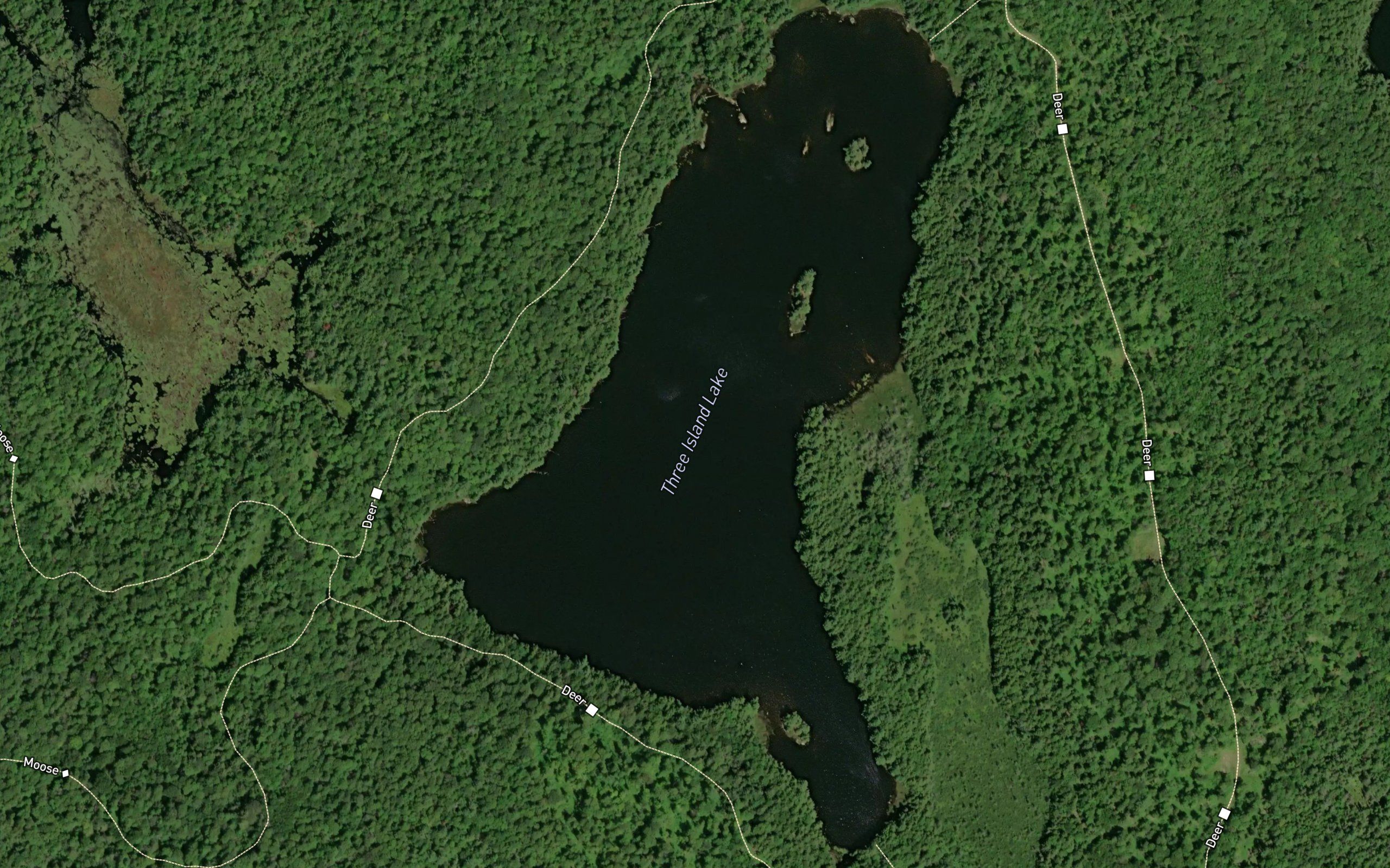 Three Island Lake