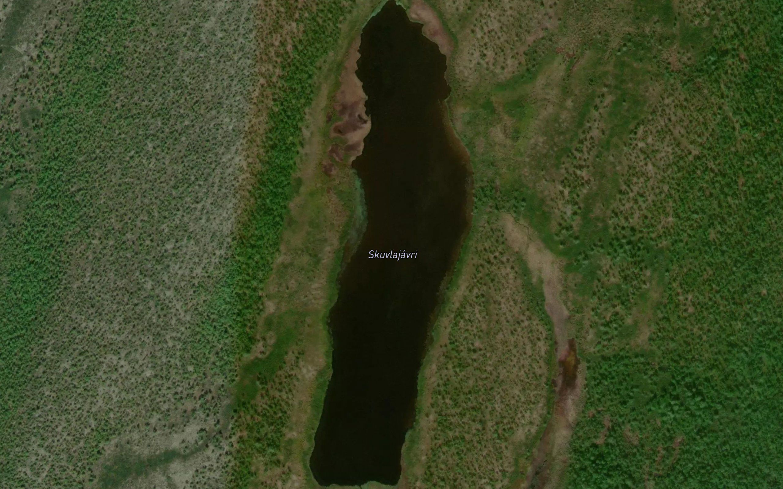 Skuvlajavri