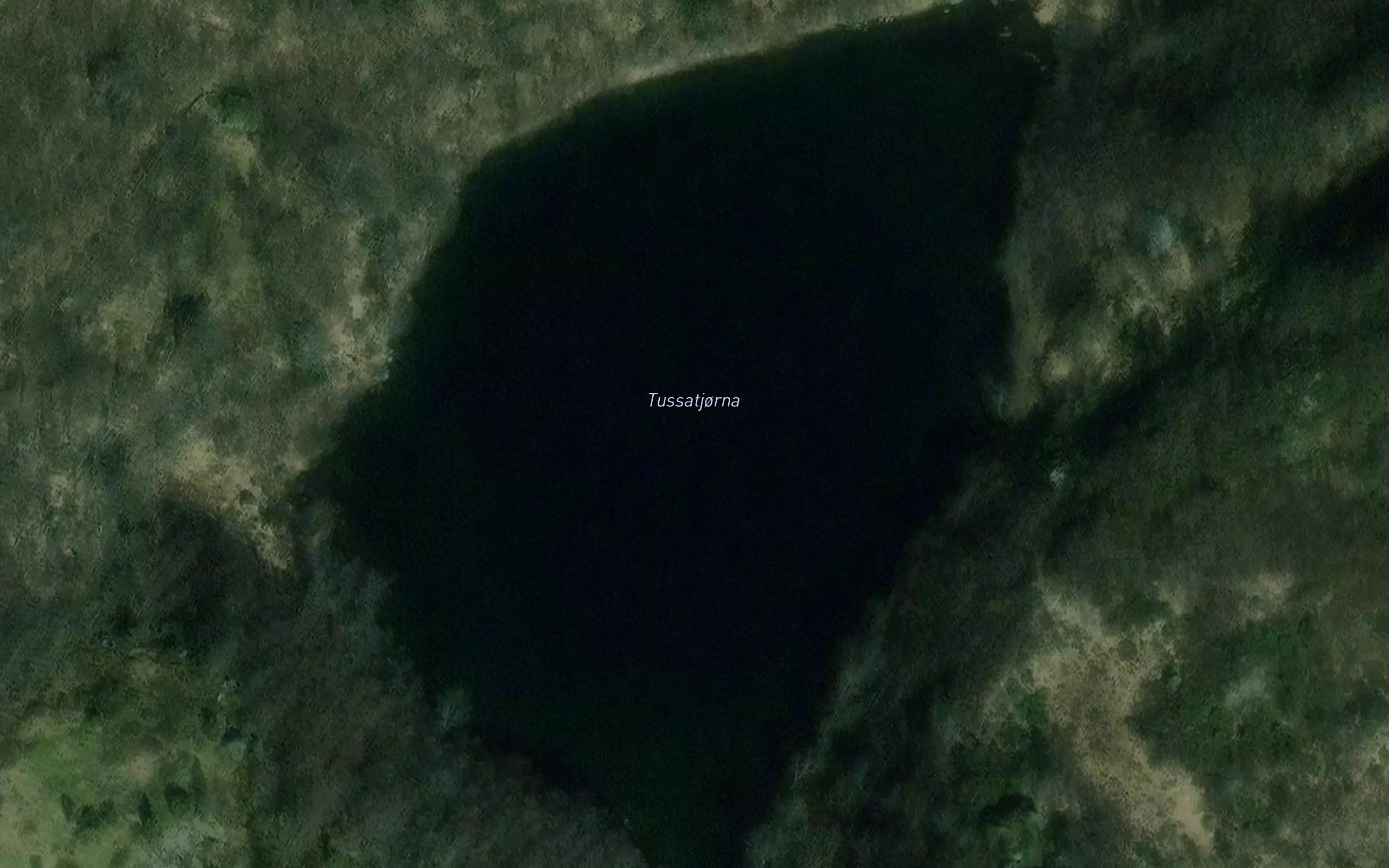 Tussatjorna