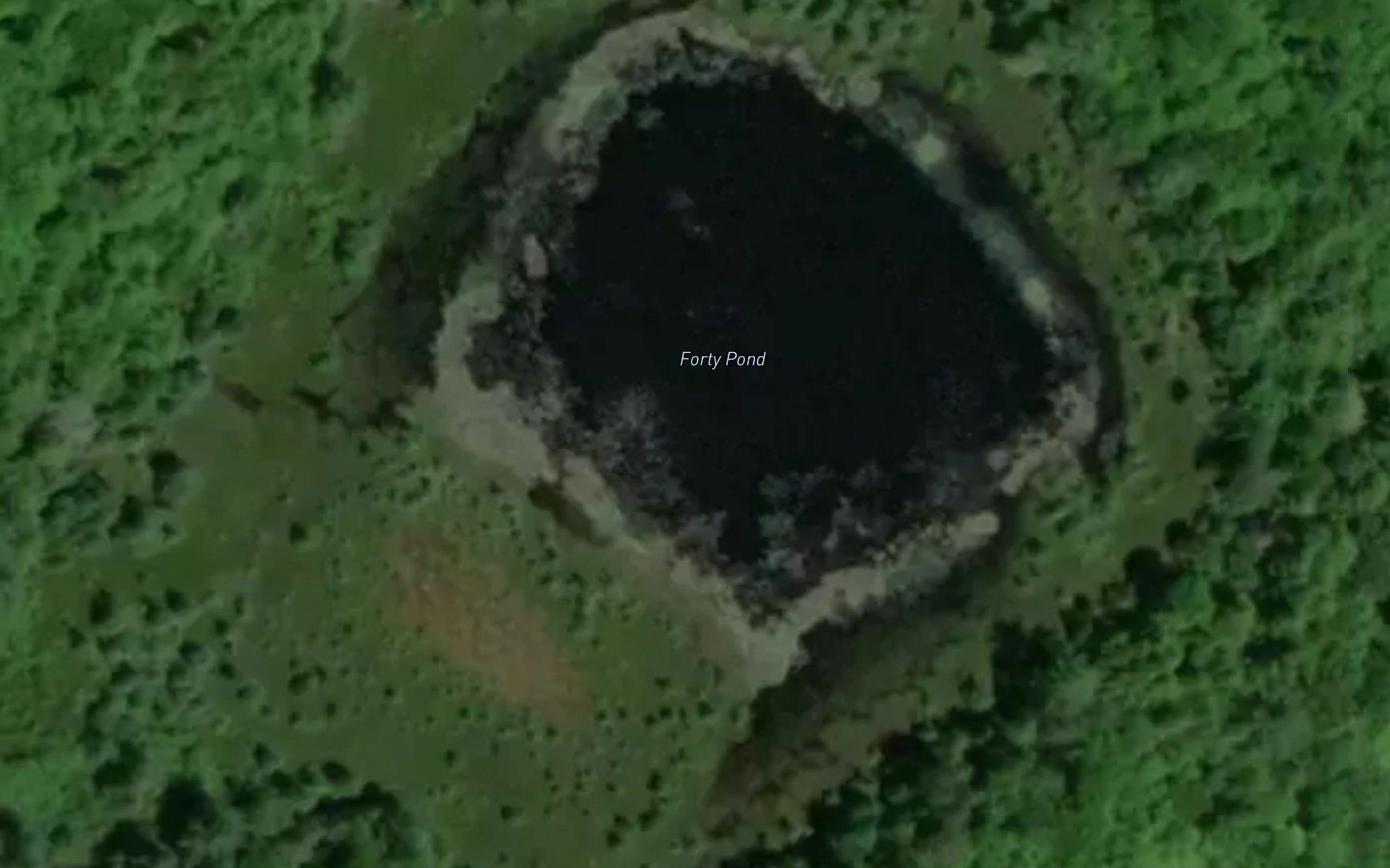 Forty Pond