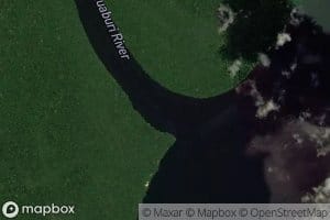 Rio Cauaburi