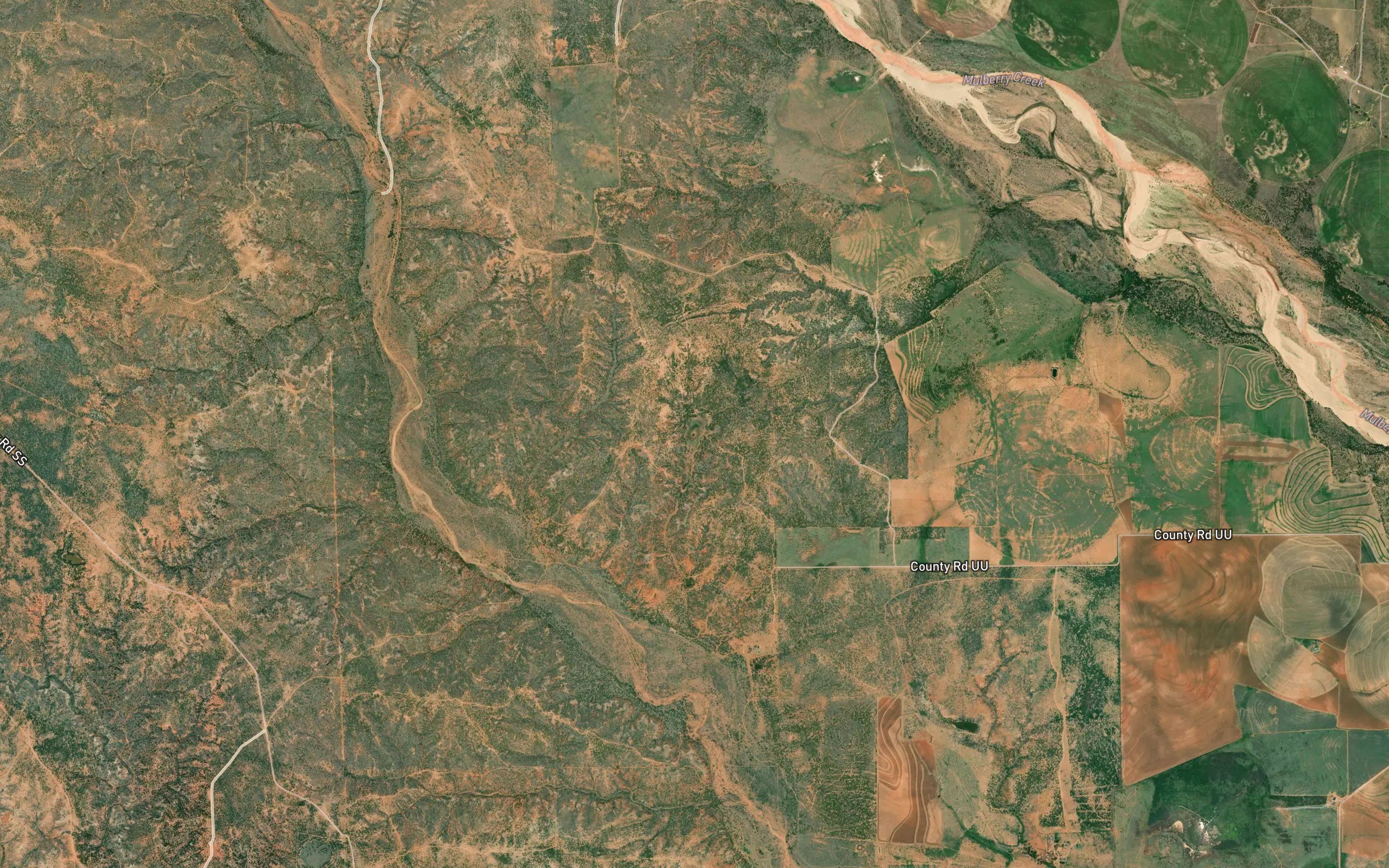 Timber Lake