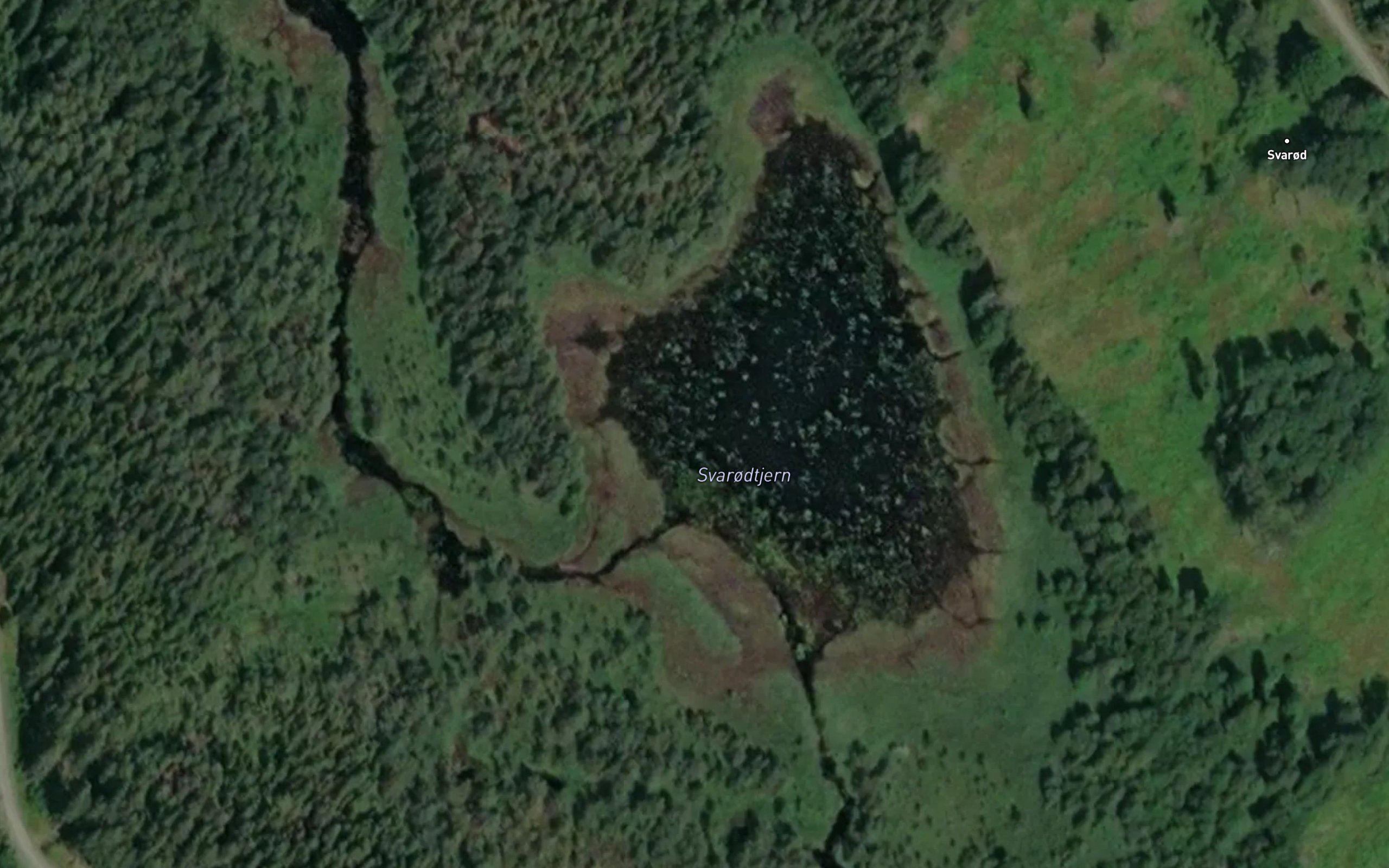 Svarodtjern