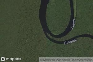 Bolombo