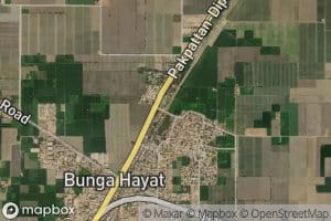 Bunga Hayat Distributary